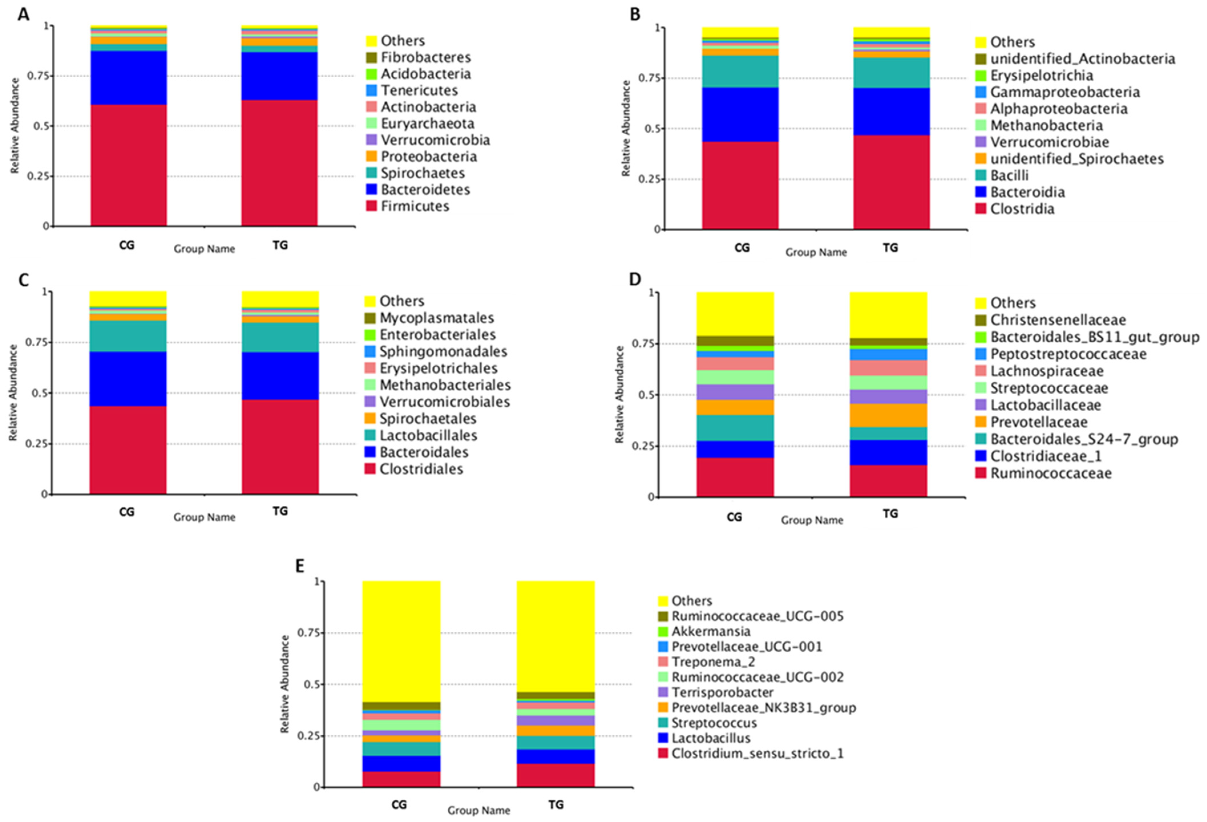 Animals 11 02137 g001