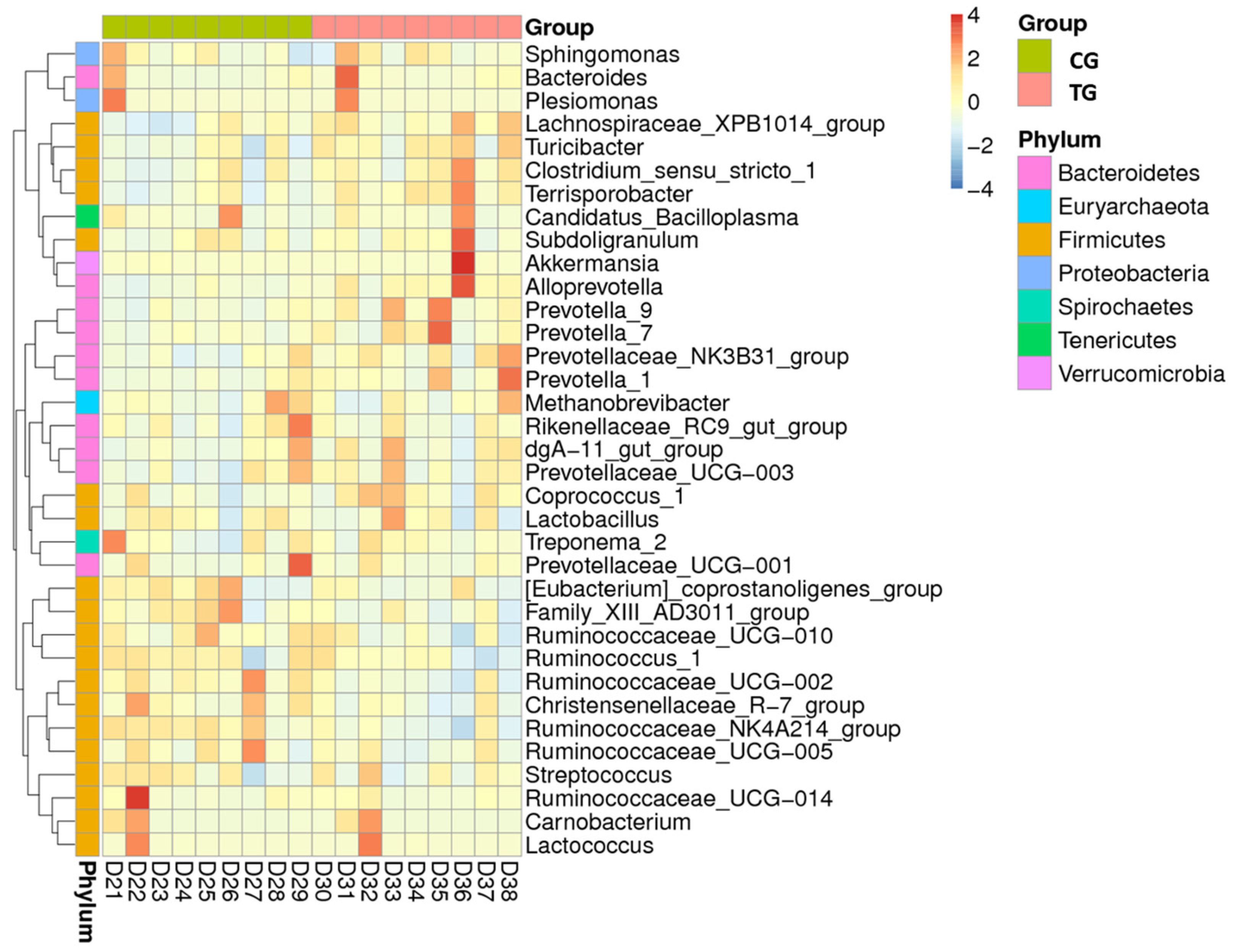 Animals 11 02137 g002