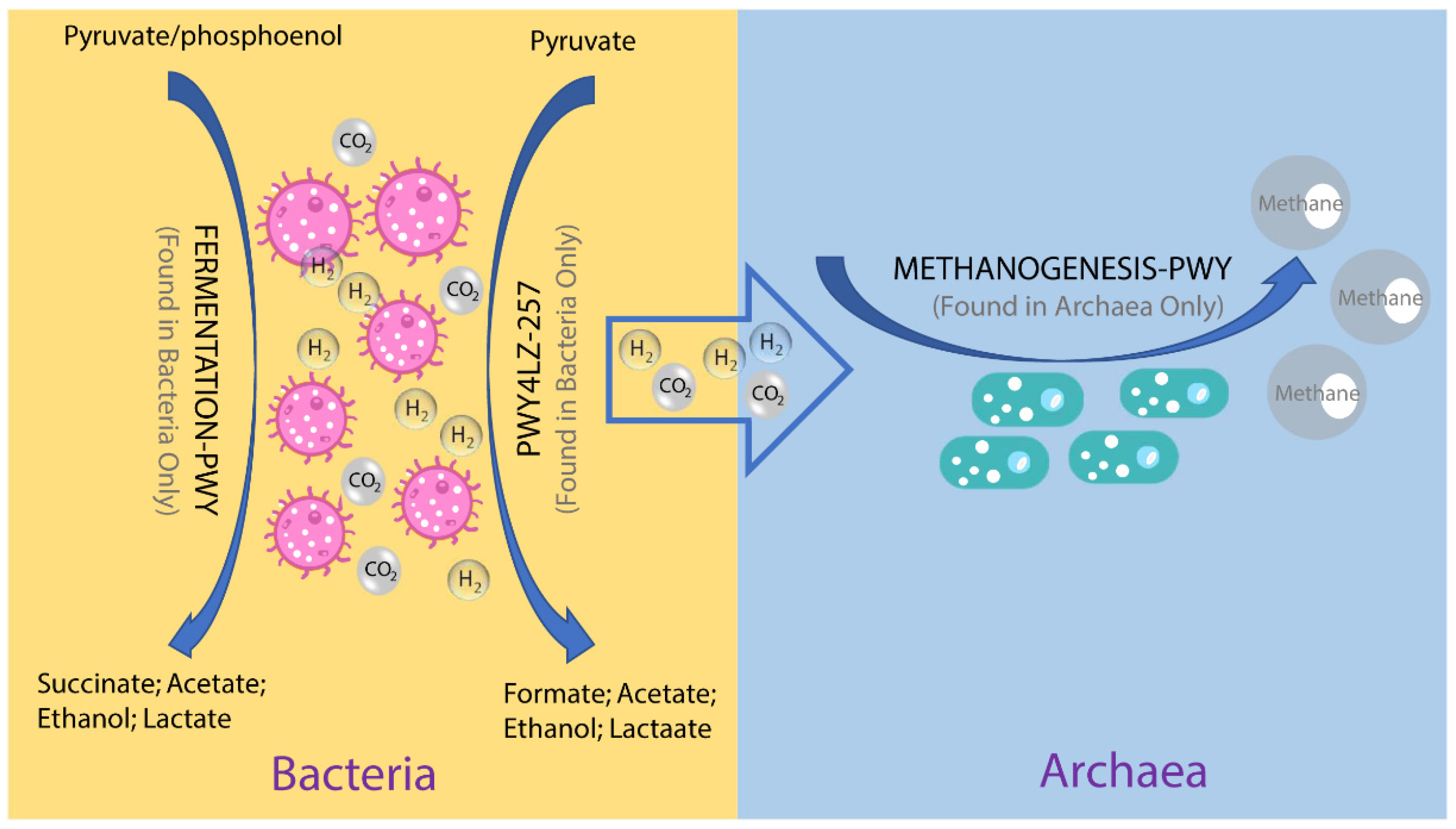 Animals 11 02139 g005