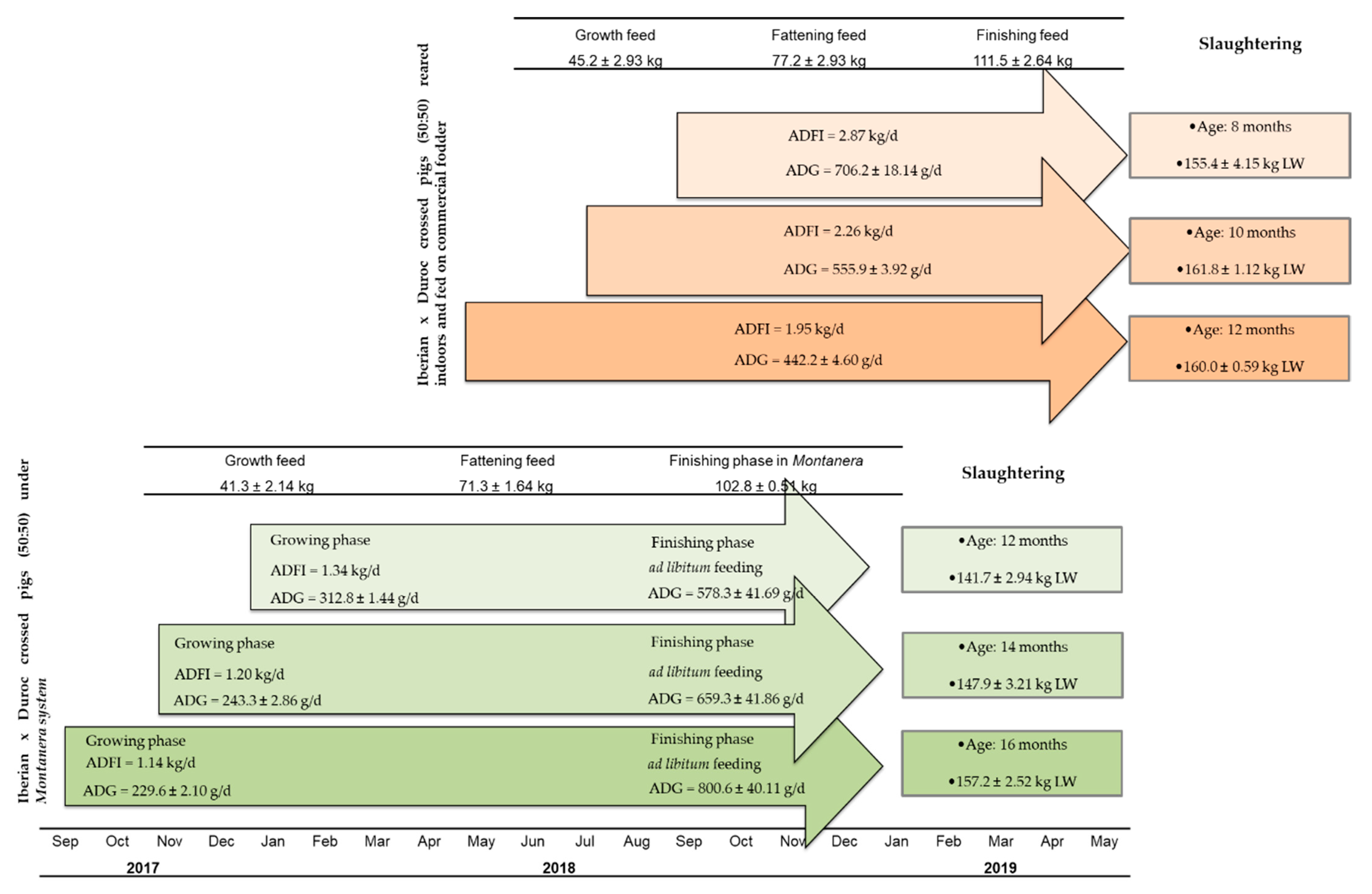 Animals 11 02143 g001