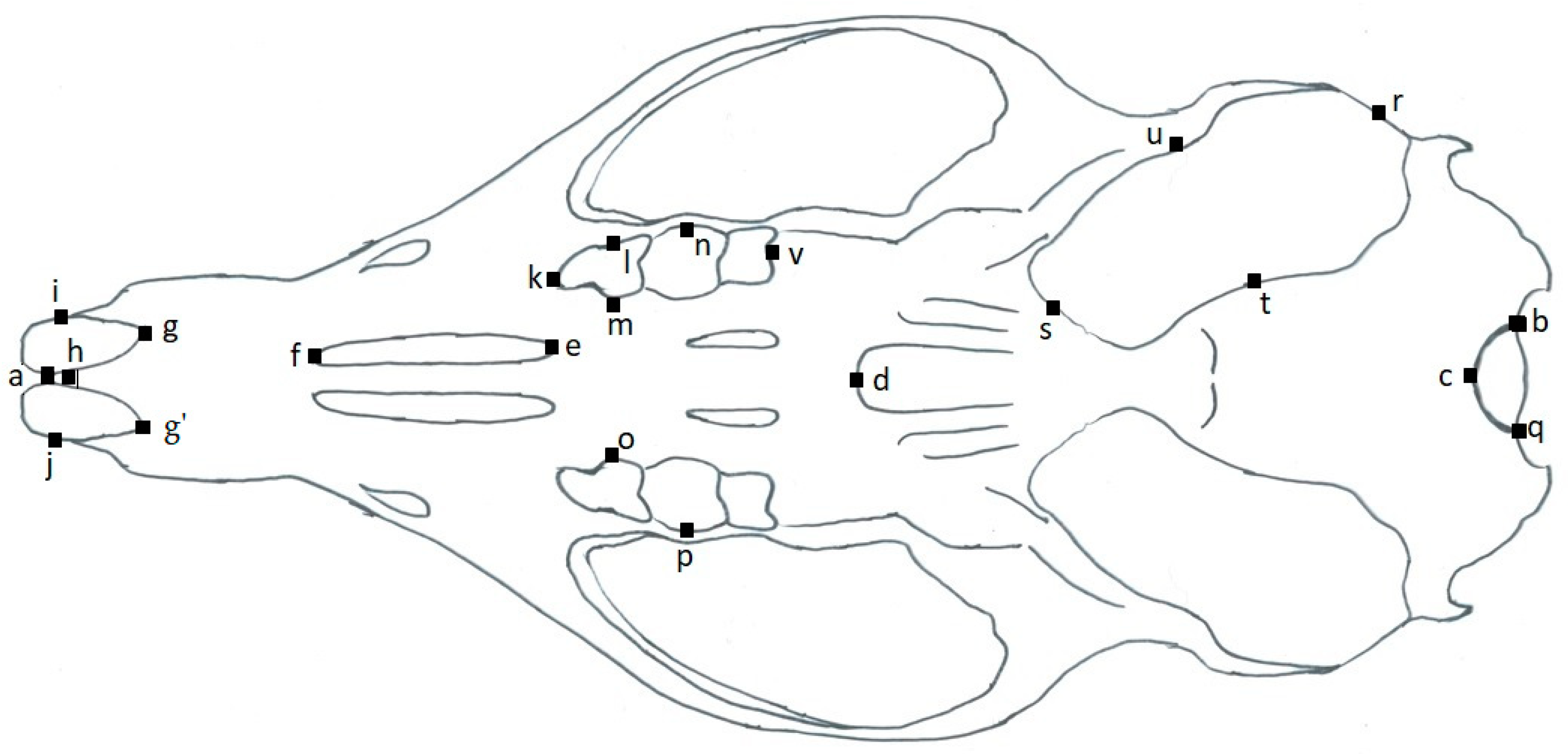 Animals 11 02162 g005