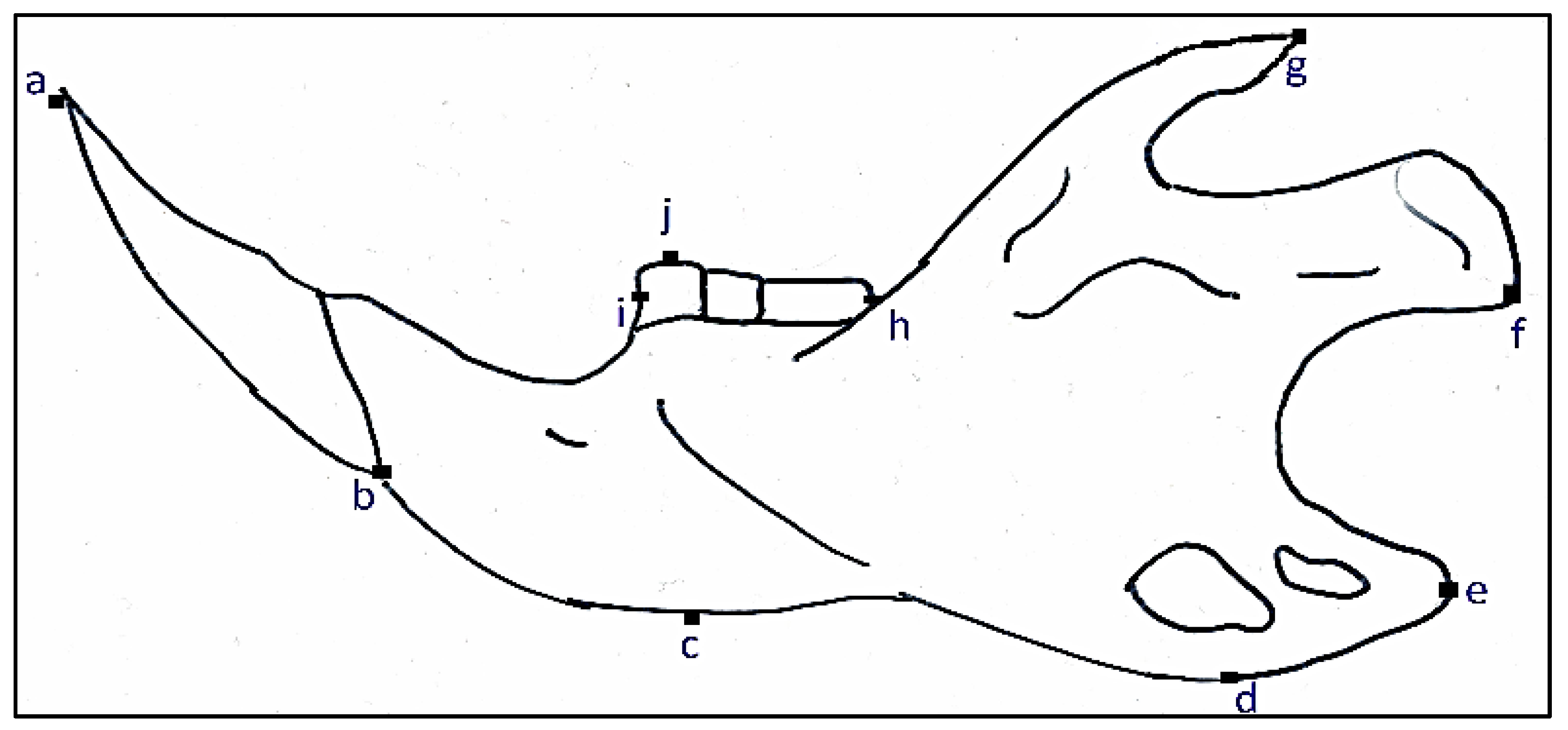 Animals 11 02162 g006