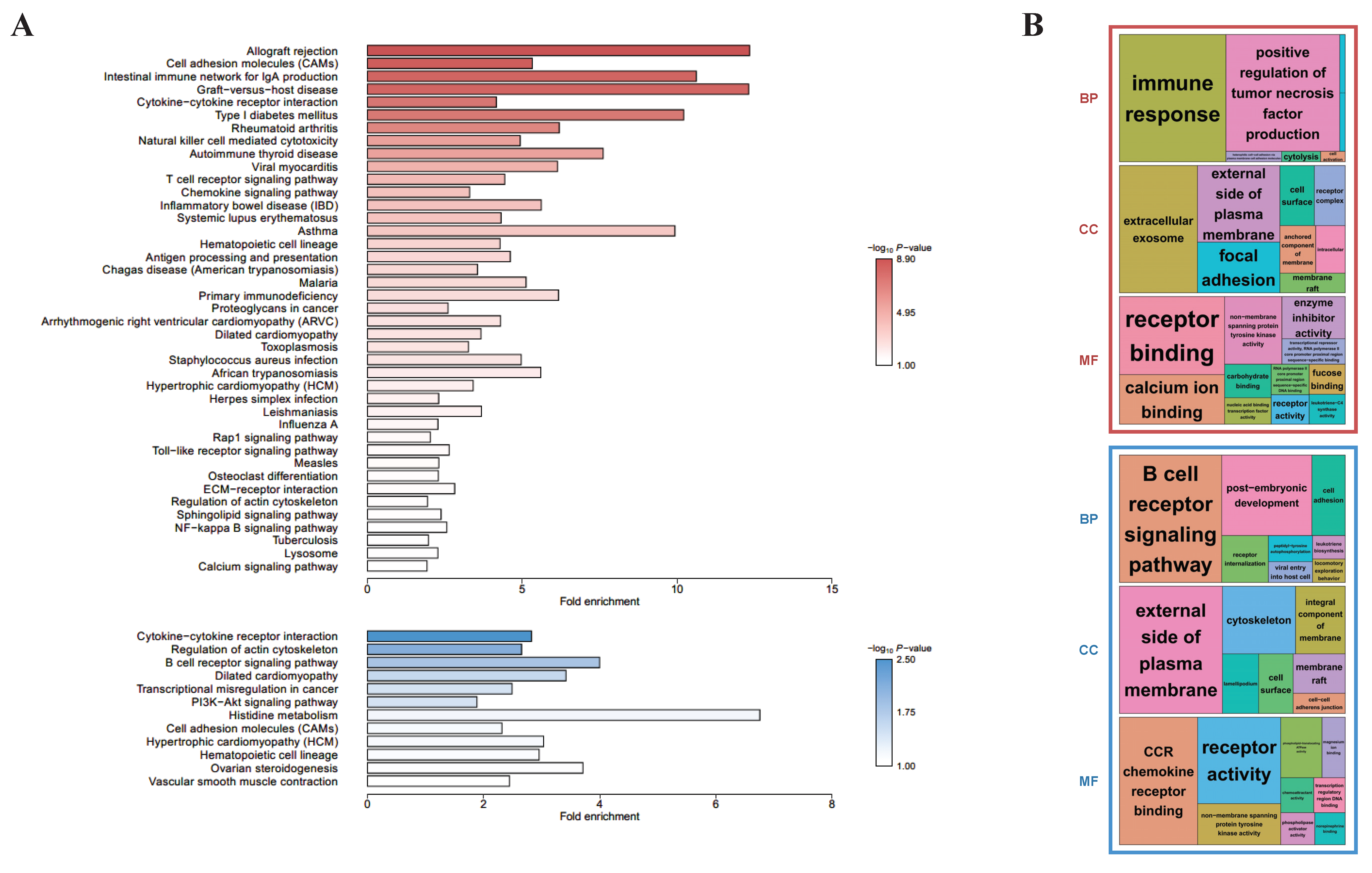 Animals 11 02165 g002