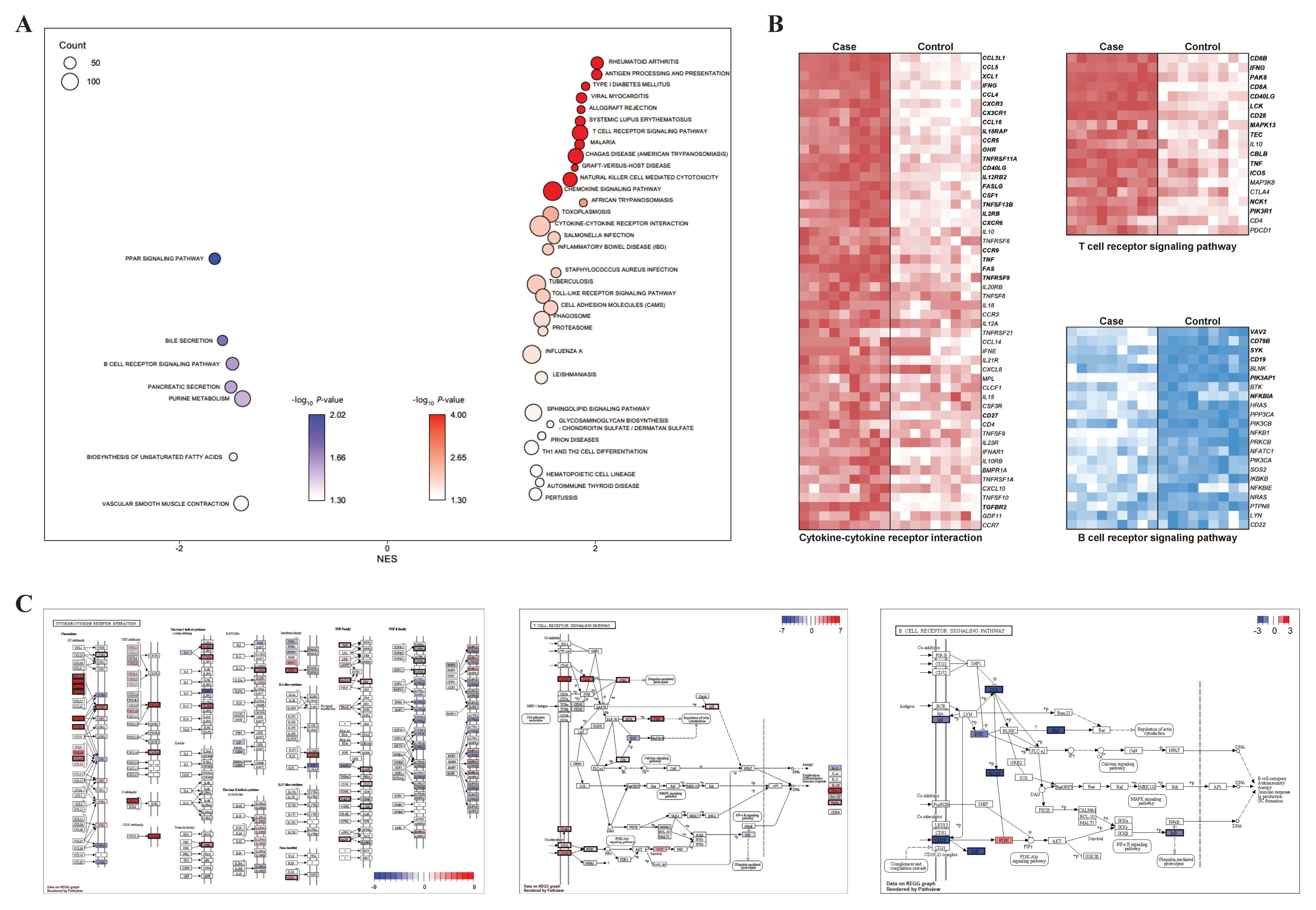 Animals 11 02165 g003