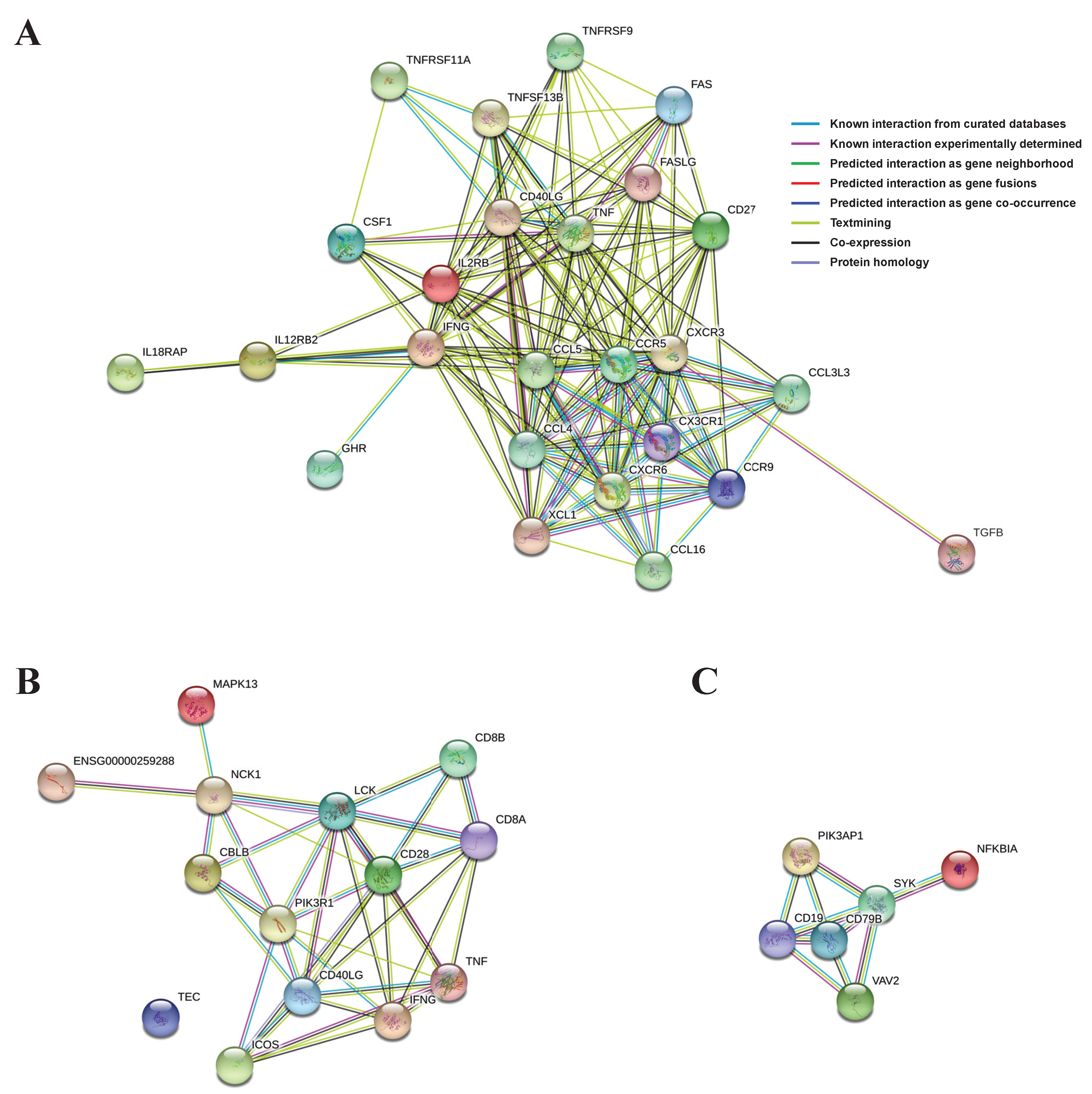 Animals 11 02165 g004