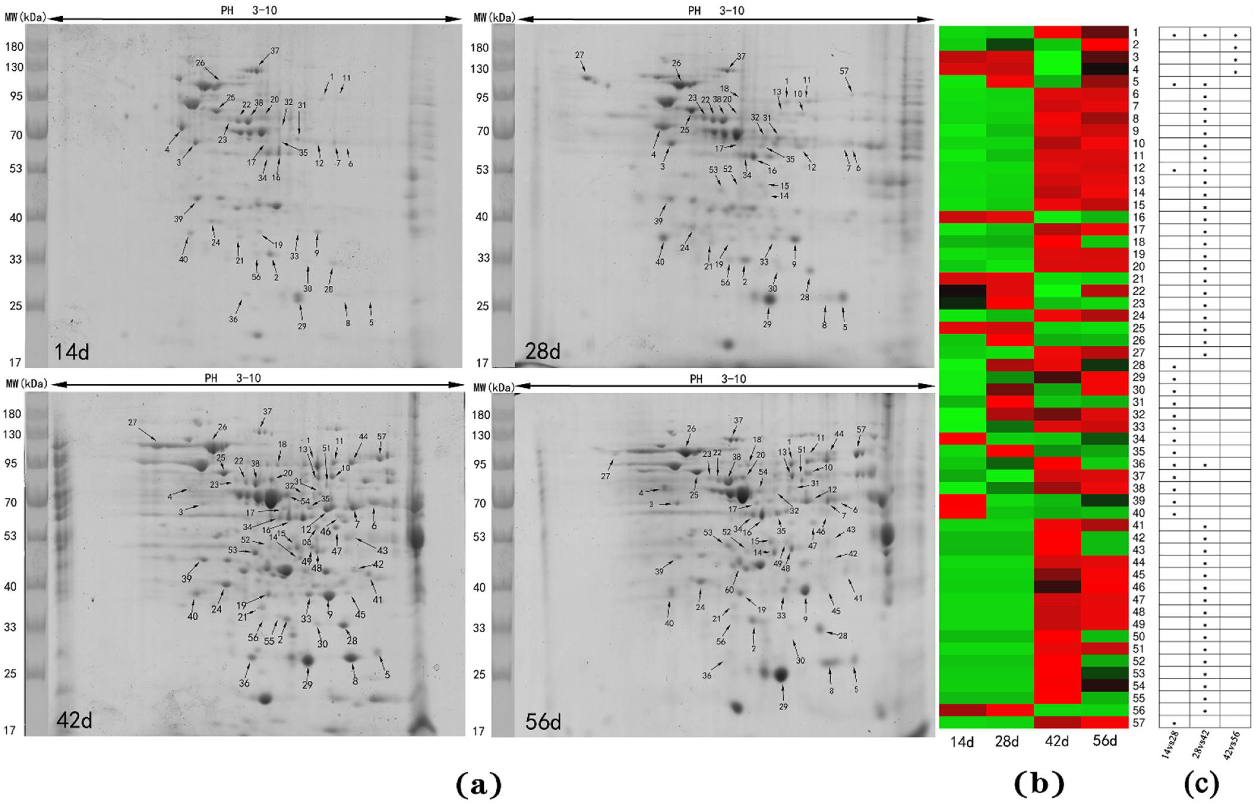 Animals 11 02180 g002