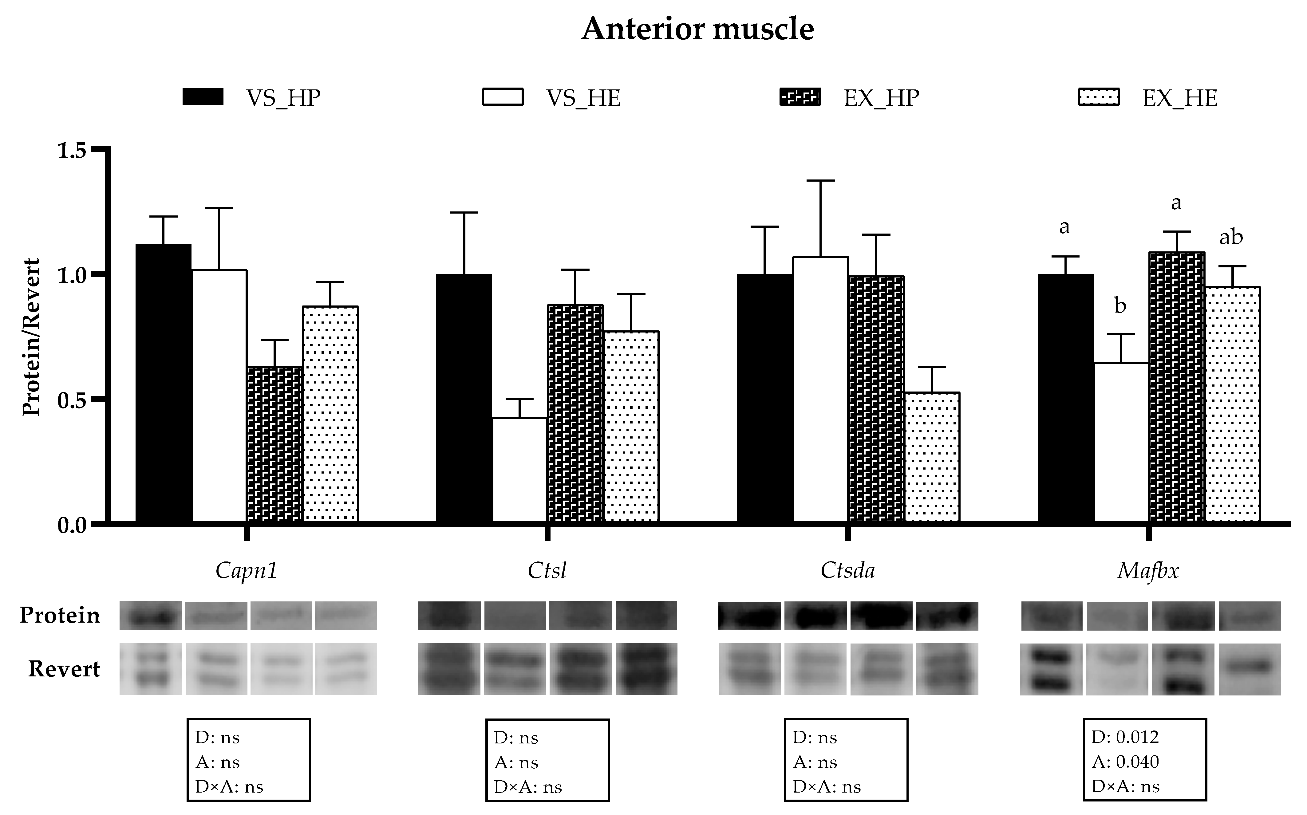 Animals 11 02182 g006