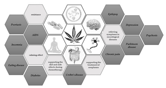 Animals 11 02190 sch001 550