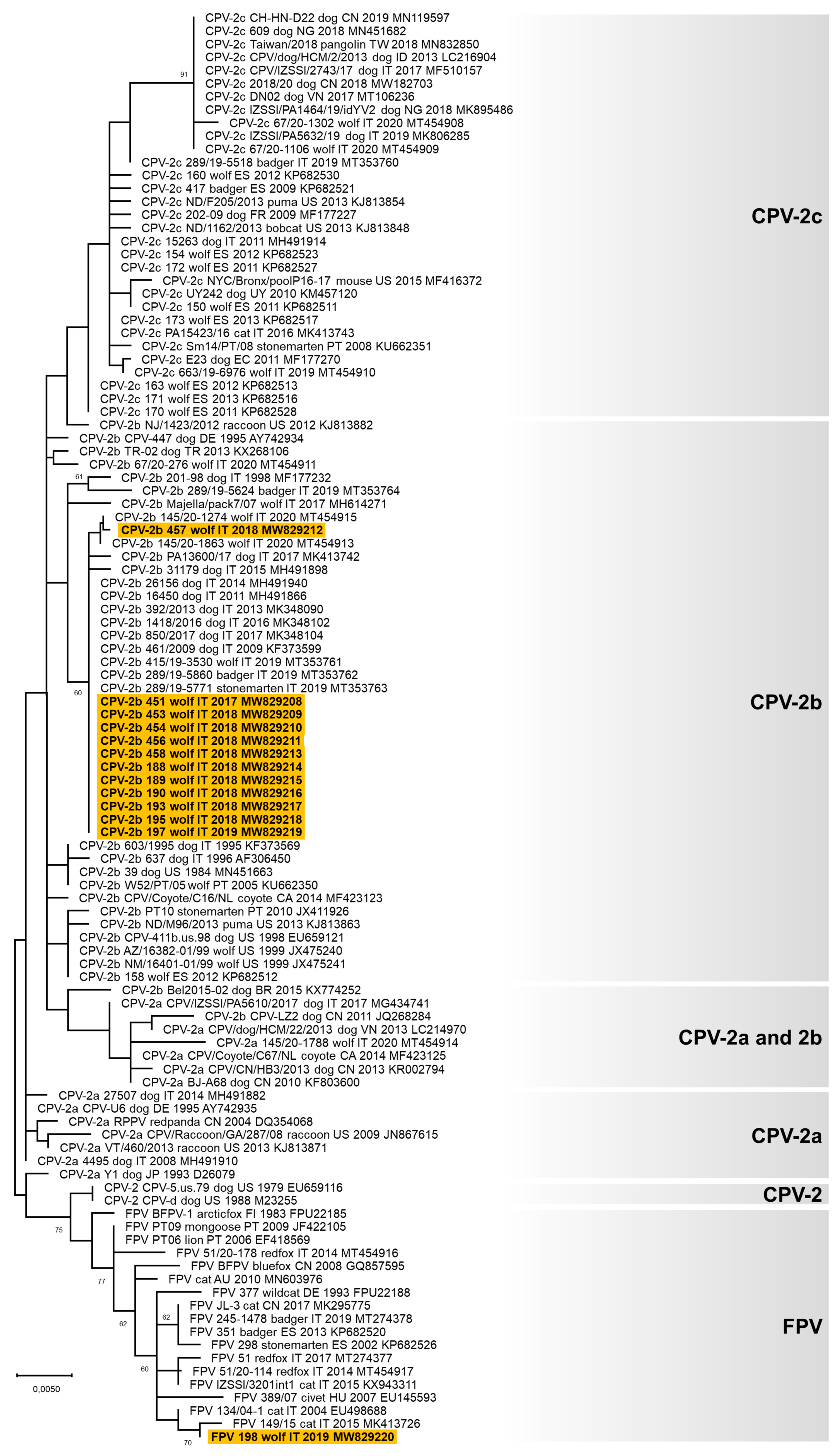 Animals 11 02198 g001