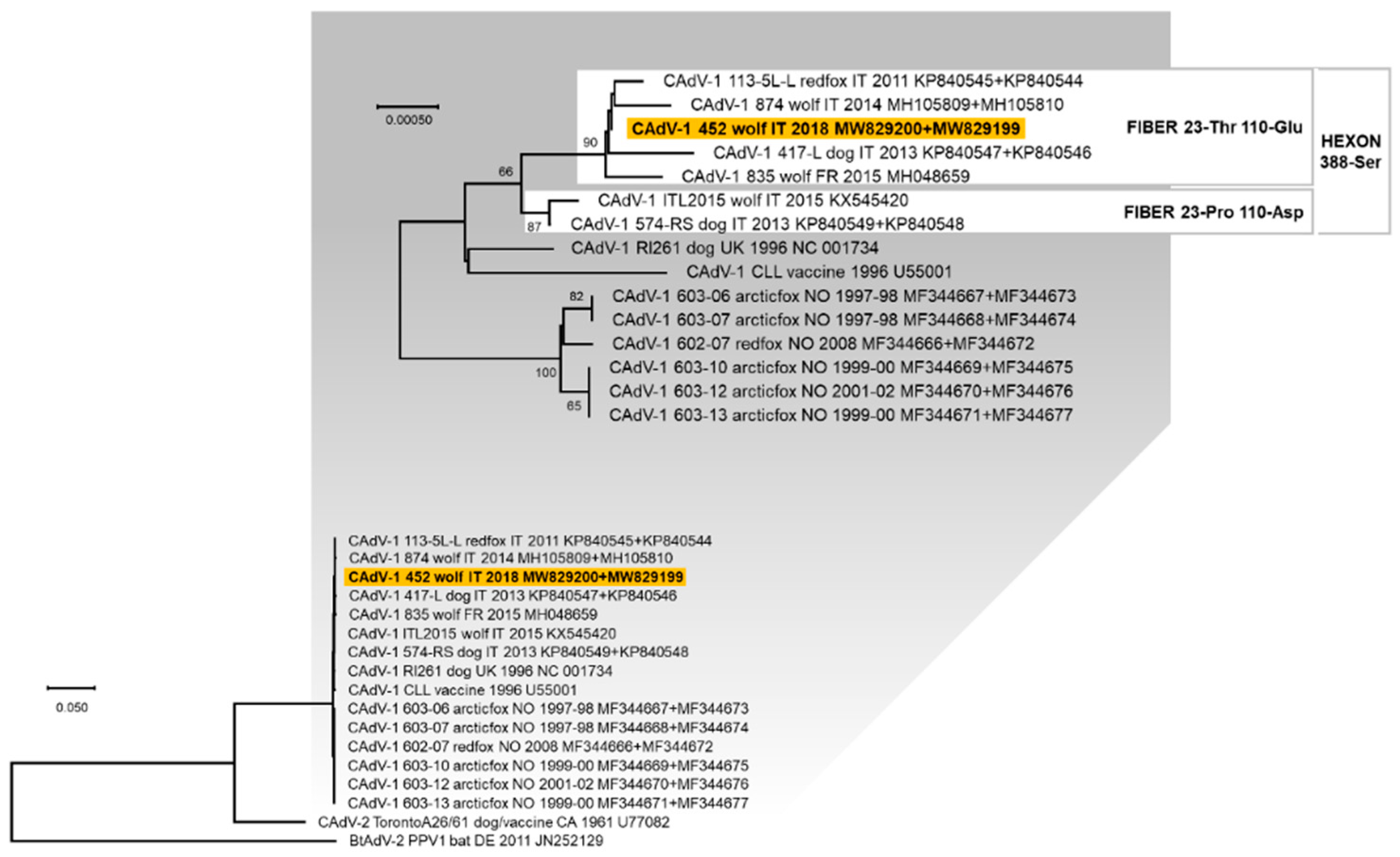 Animals 11 02198 g002