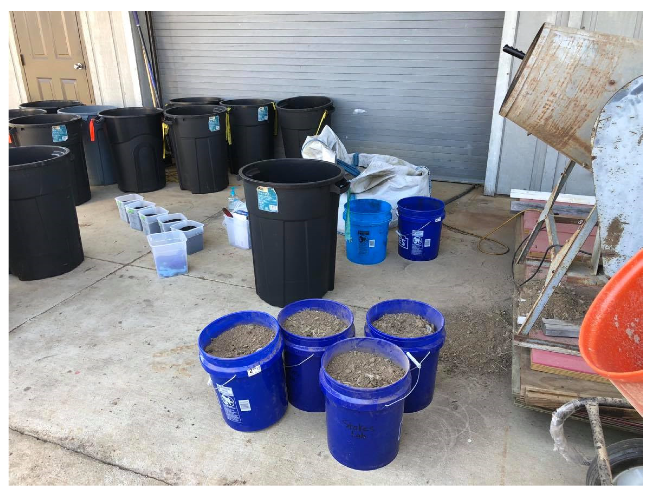 Animals 11 02209 g001