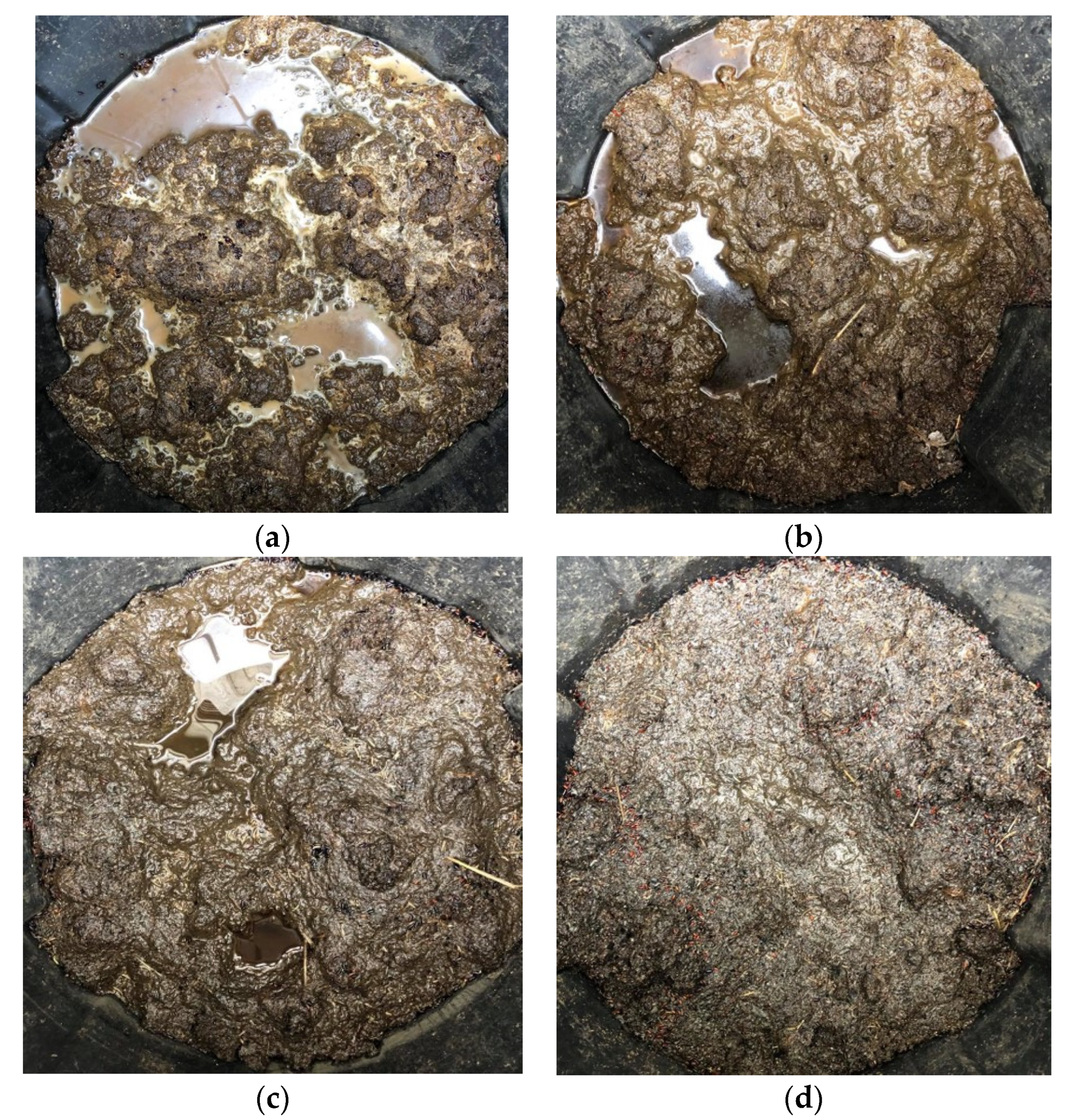 Animals 11 02209 g008