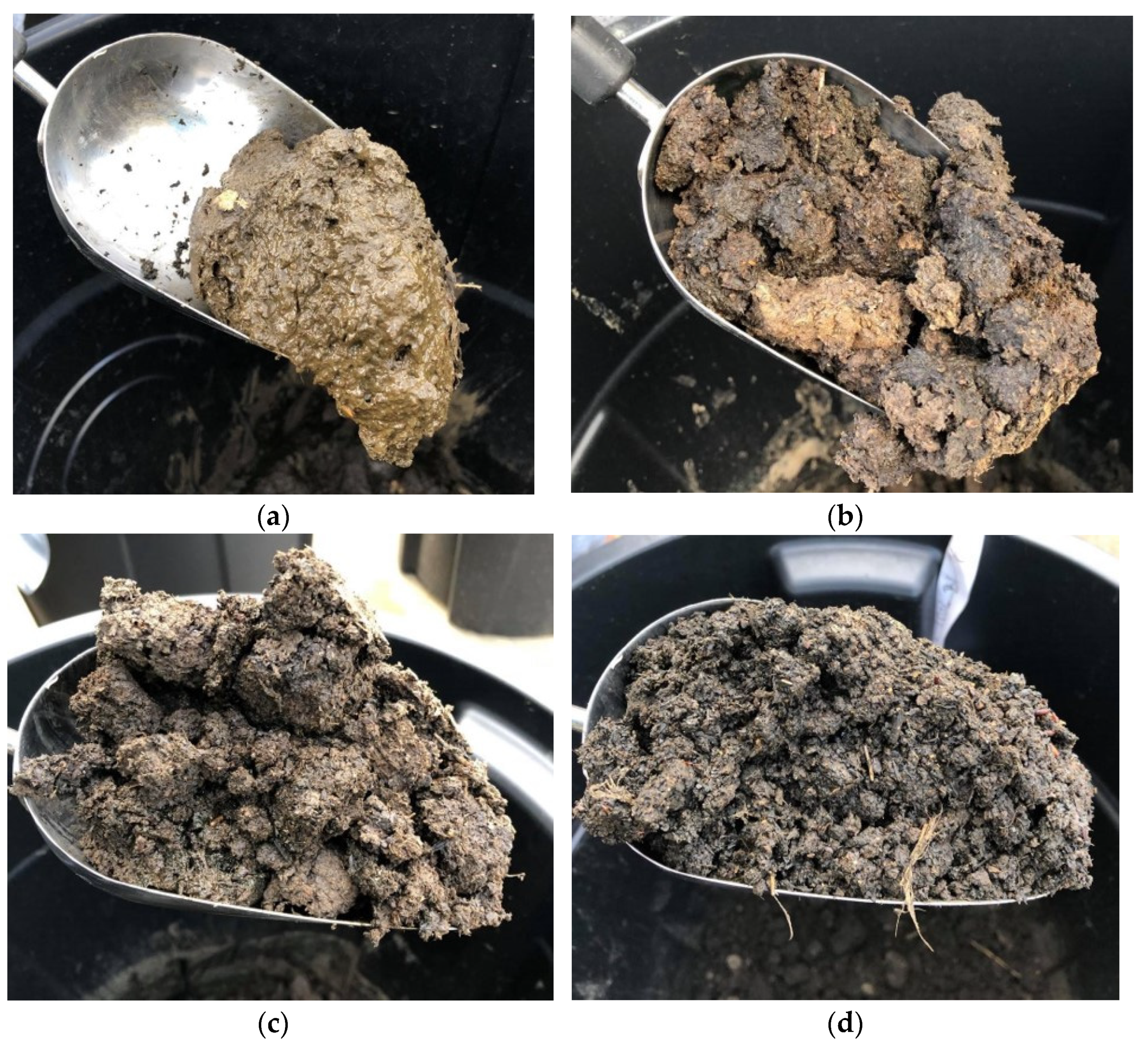 Animals 11 02209 g009