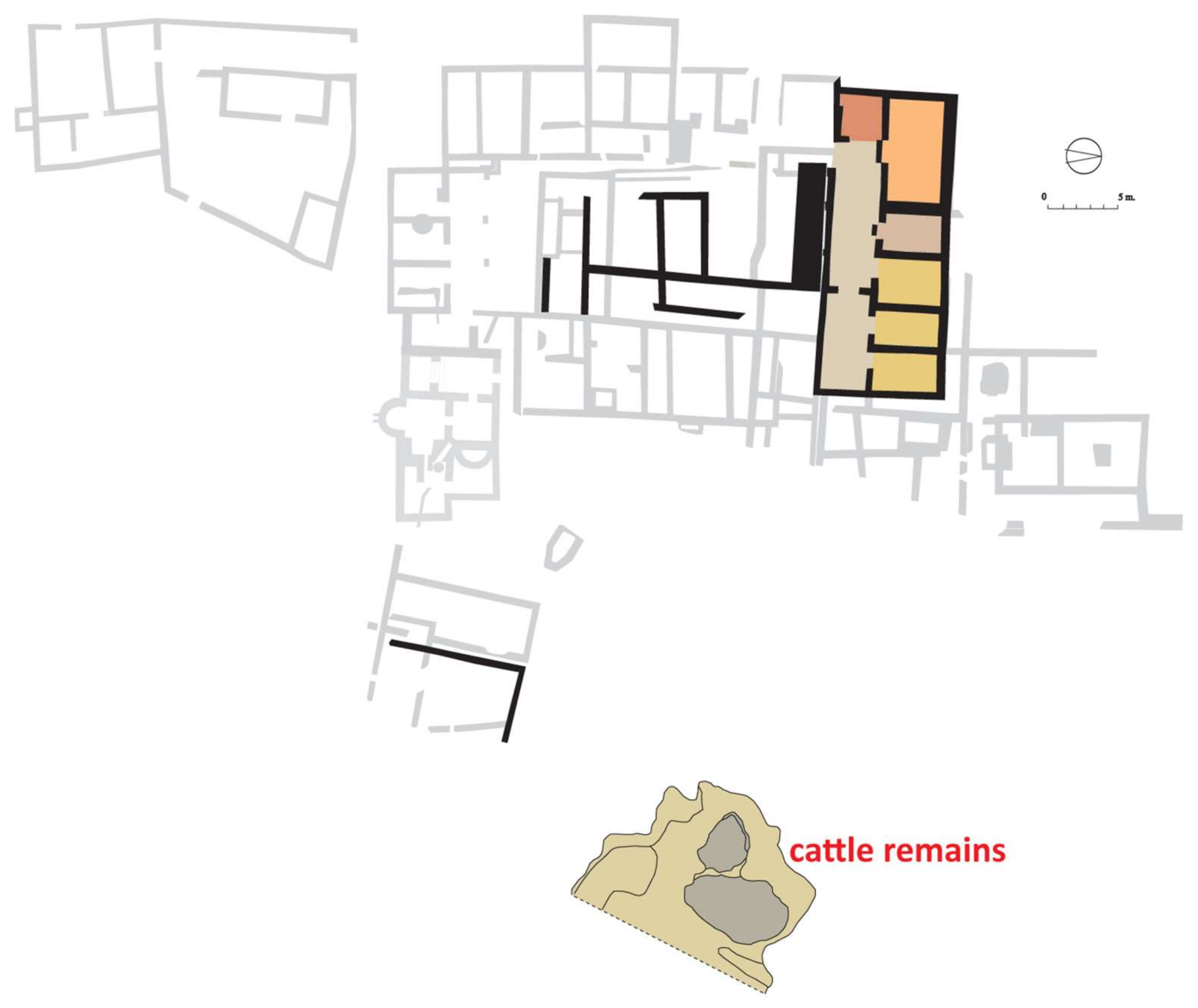 Animals 11 02214 g002