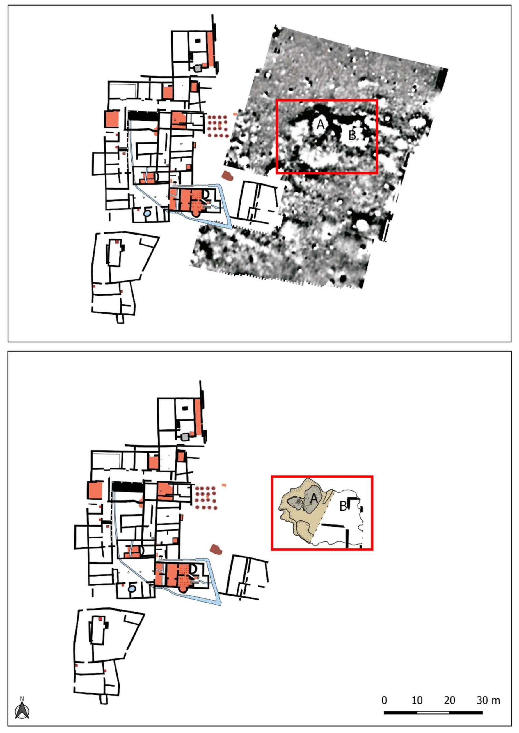 Animals 11 02214 g003