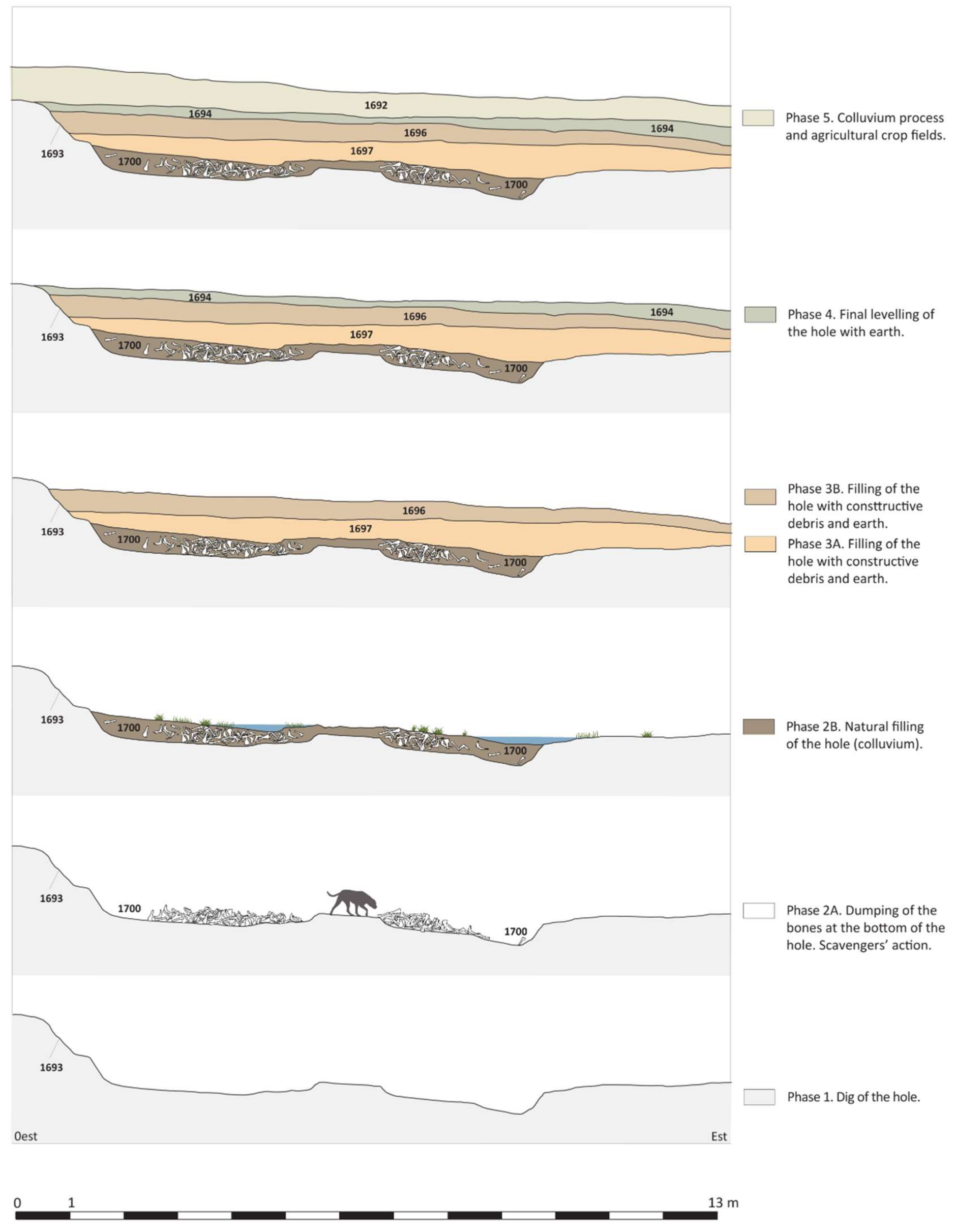 Animals 11 02214 g004