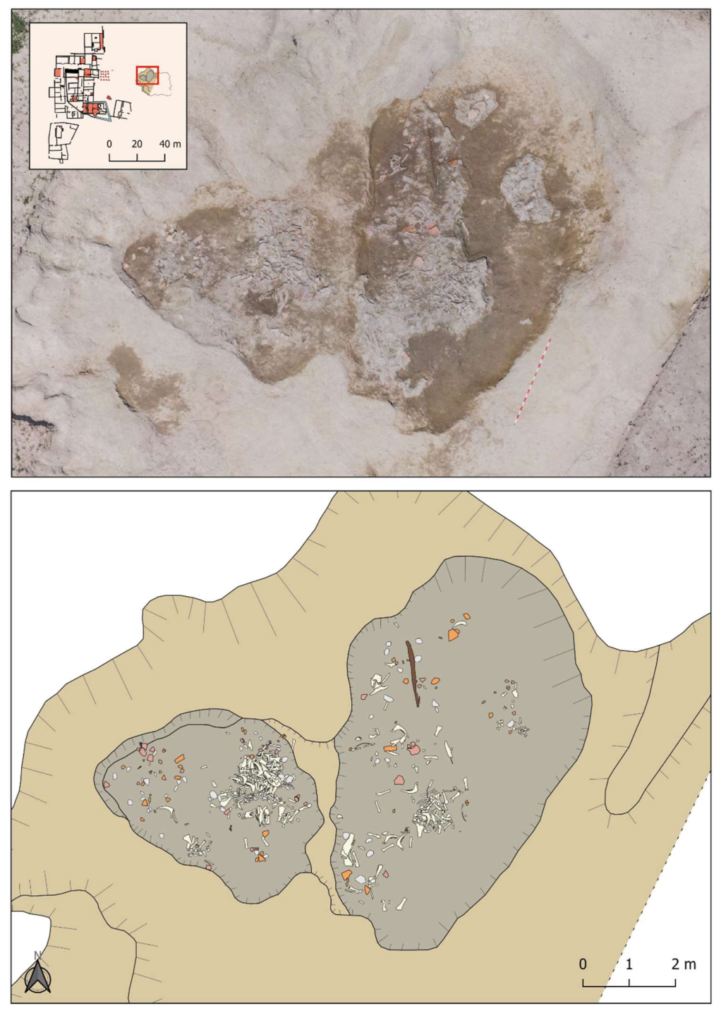 Animals 11 02214 g005