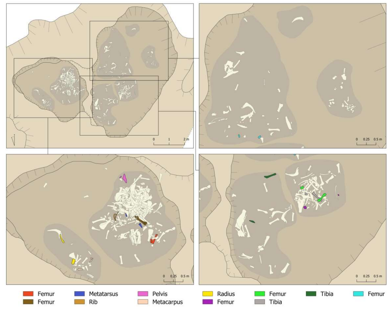 Animals 11 02214 g007