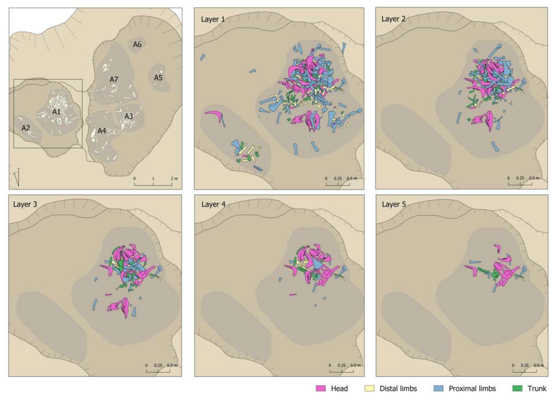 Animals 11 02214 g008