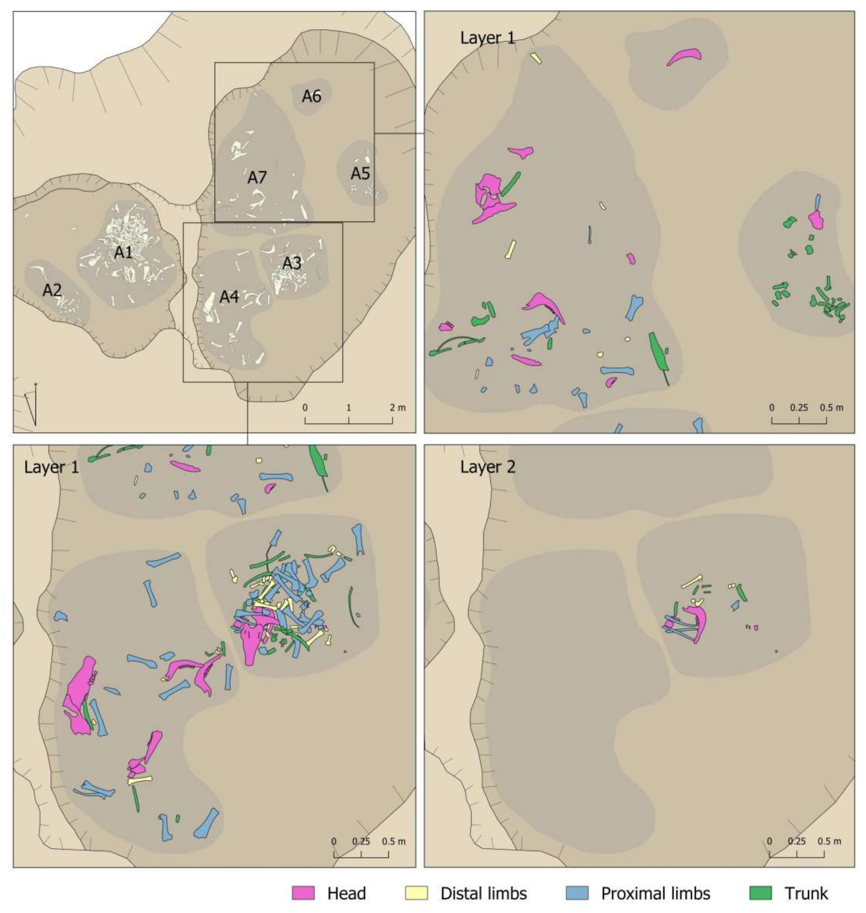 Animals 11 02214 g009