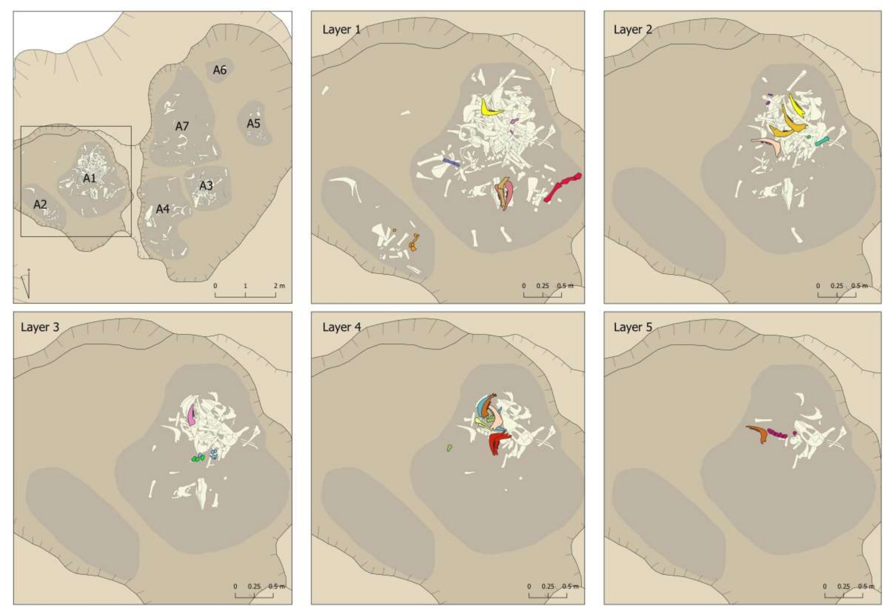 Animals 11 02214 g013