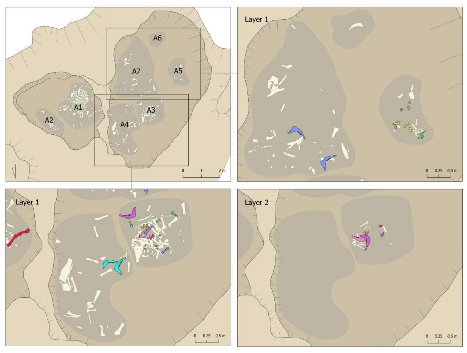 Animals 11 02214 g014