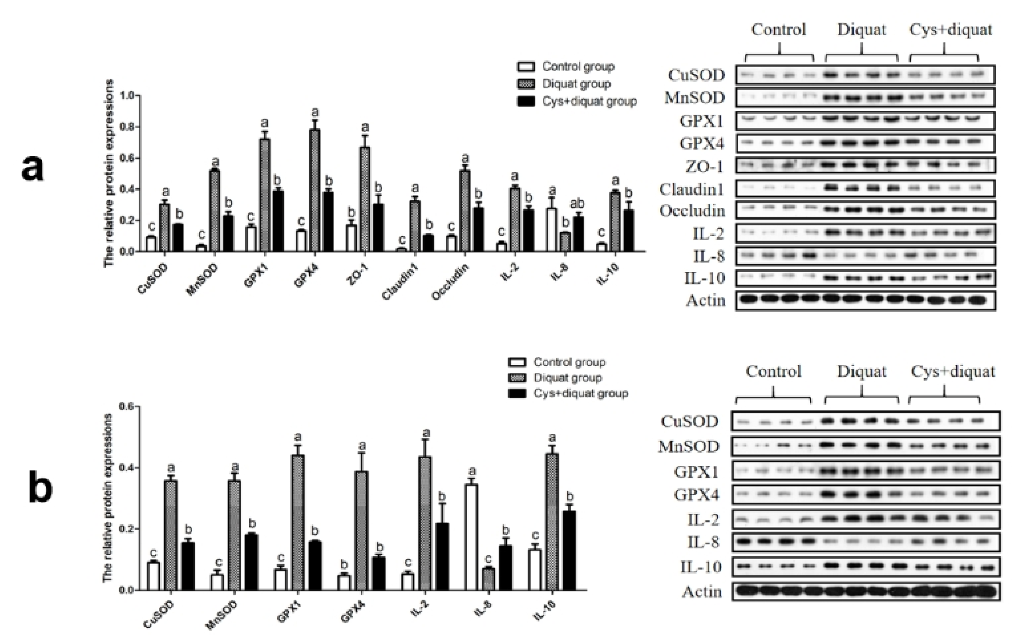 Animals 11 02217 g003