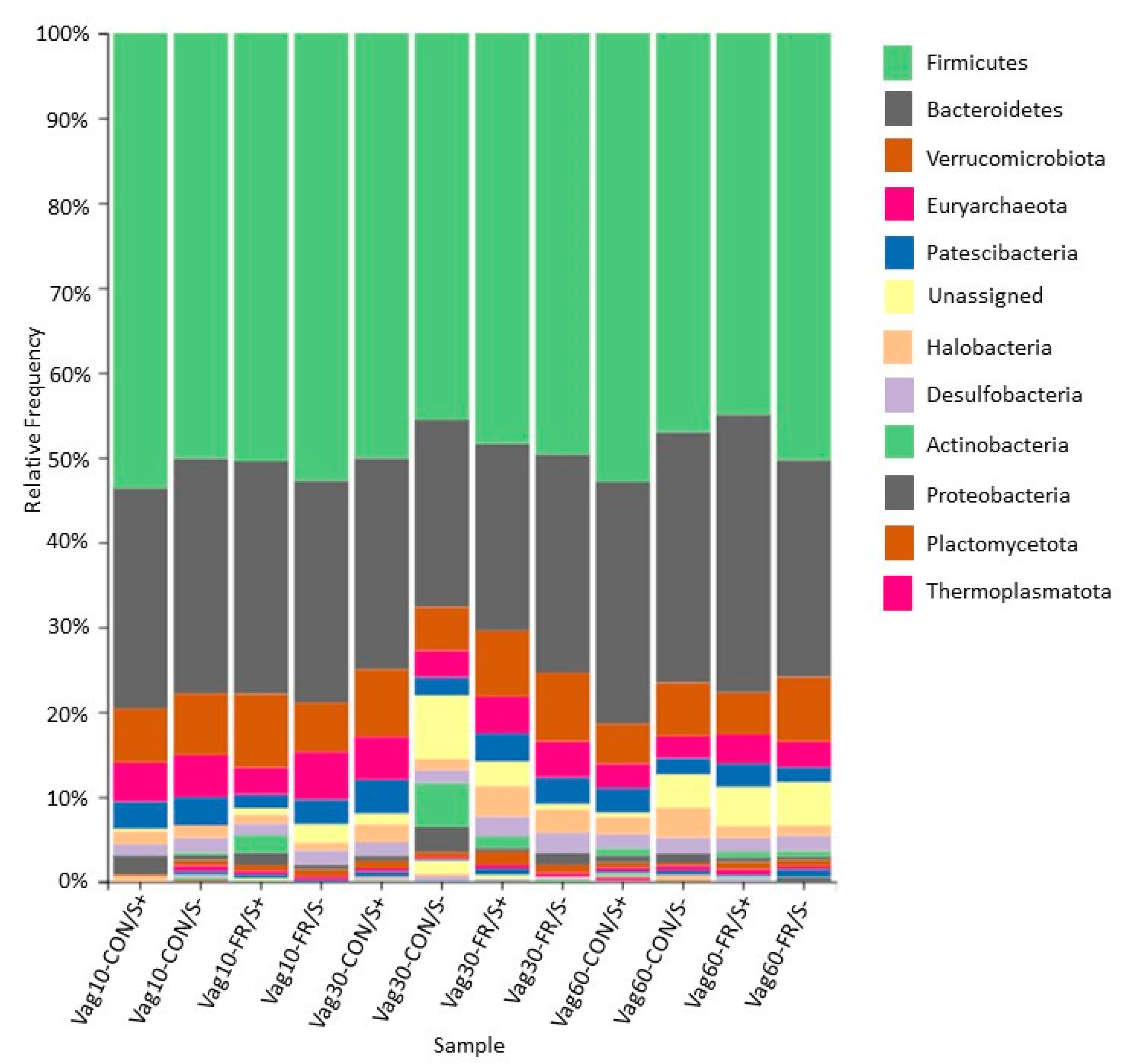 Animals 11 02219 g002