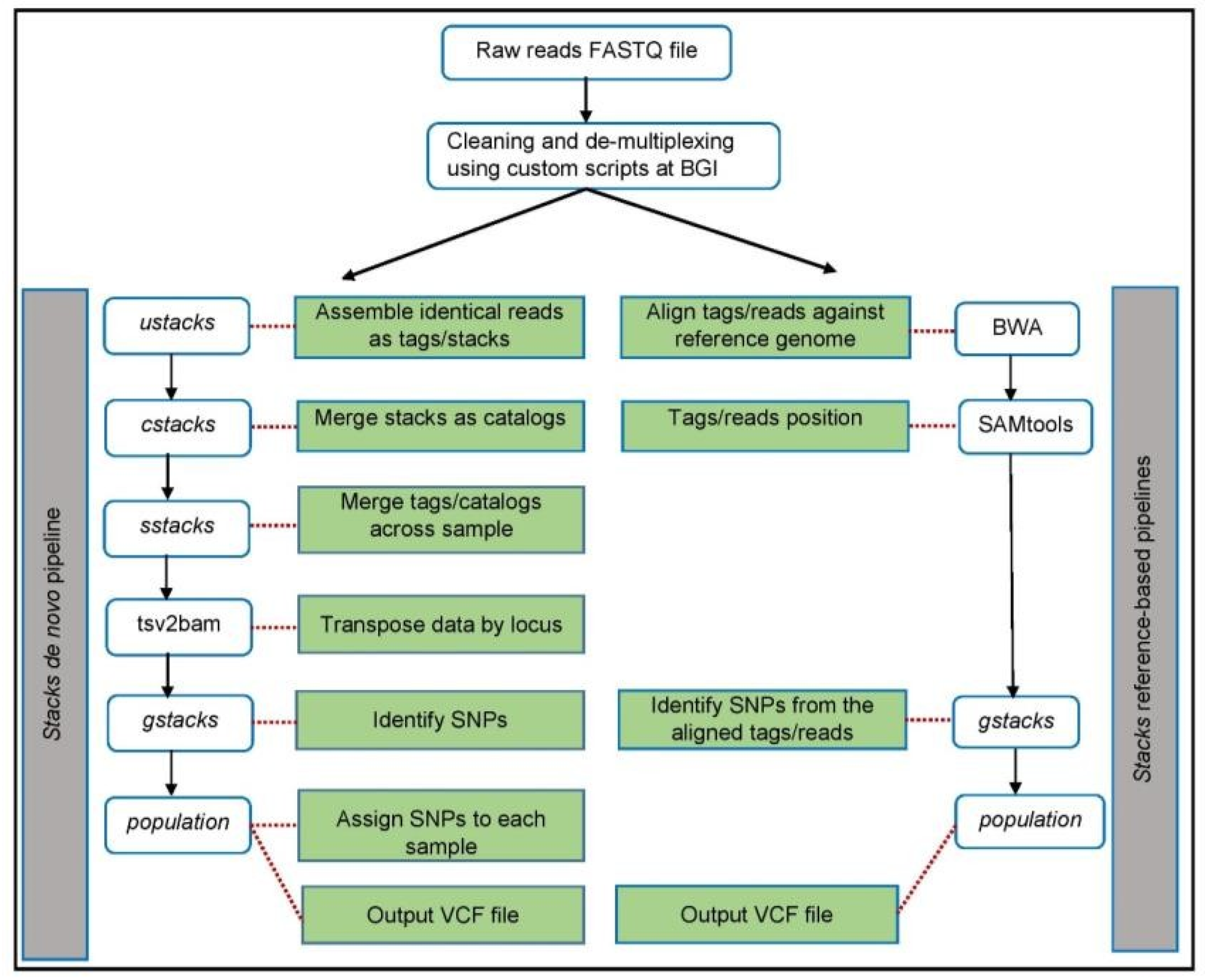 Animals 11 02226 g001