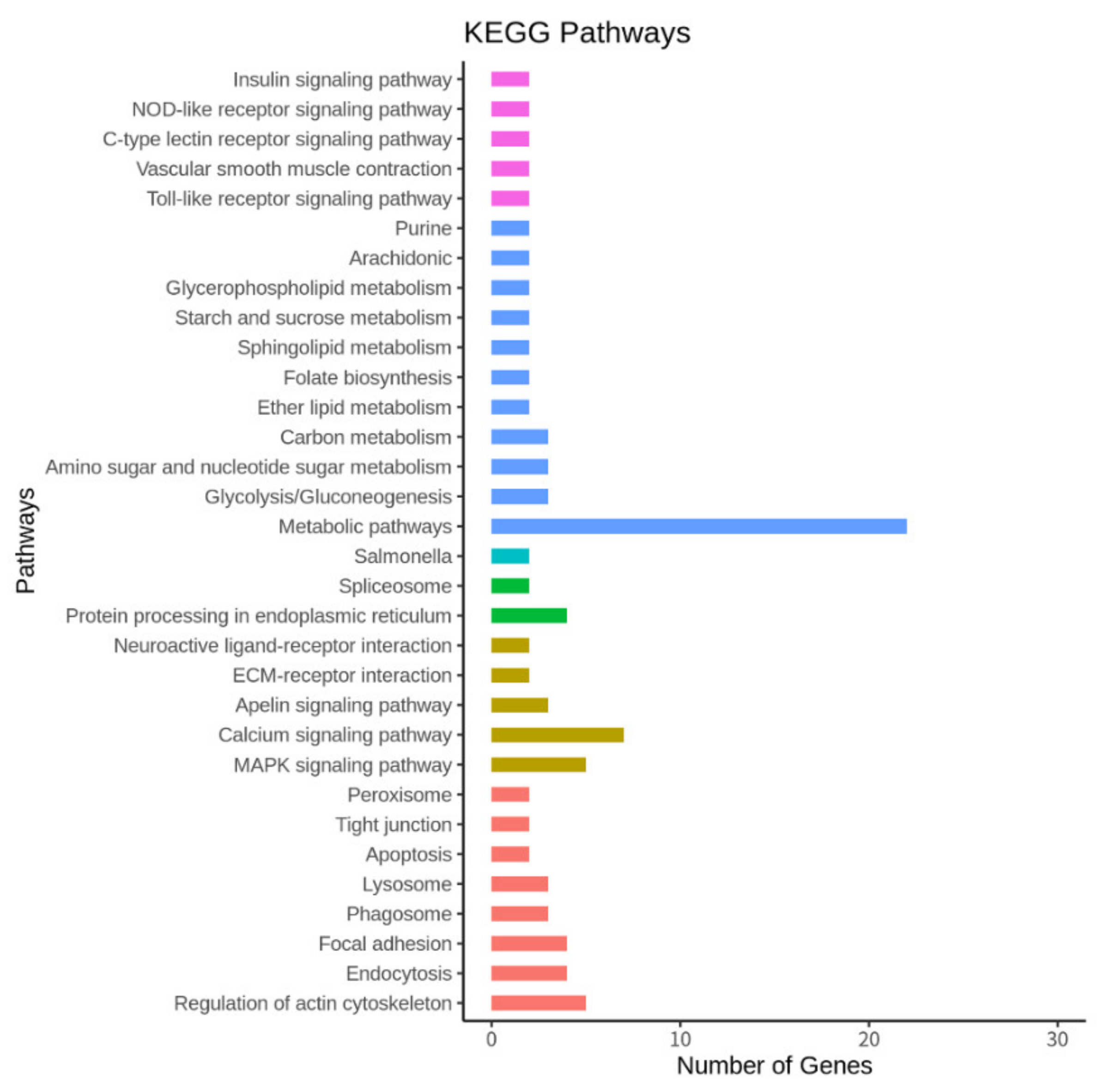 Animals 11 02241 g005