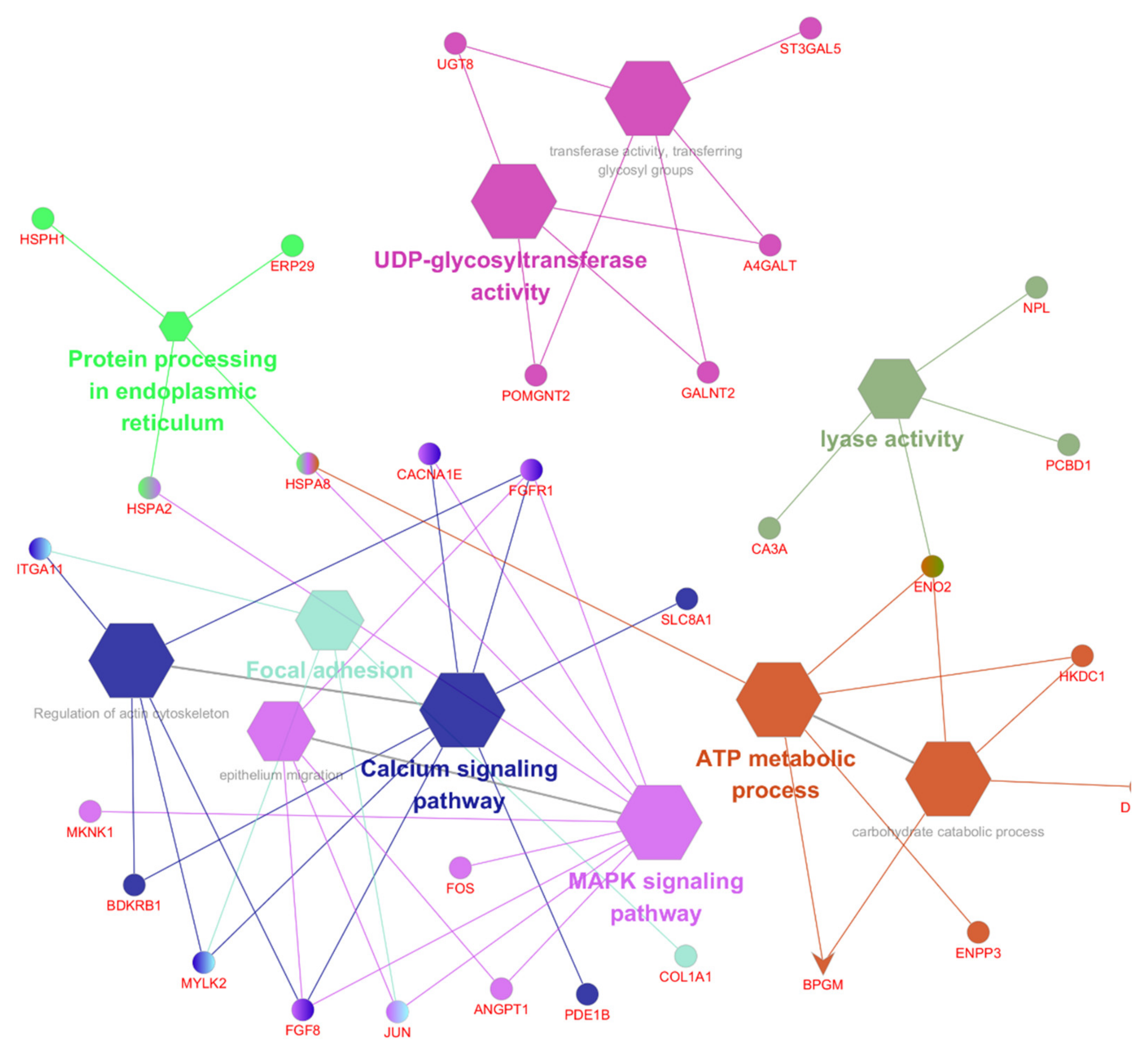 Animals 11 02241 g006