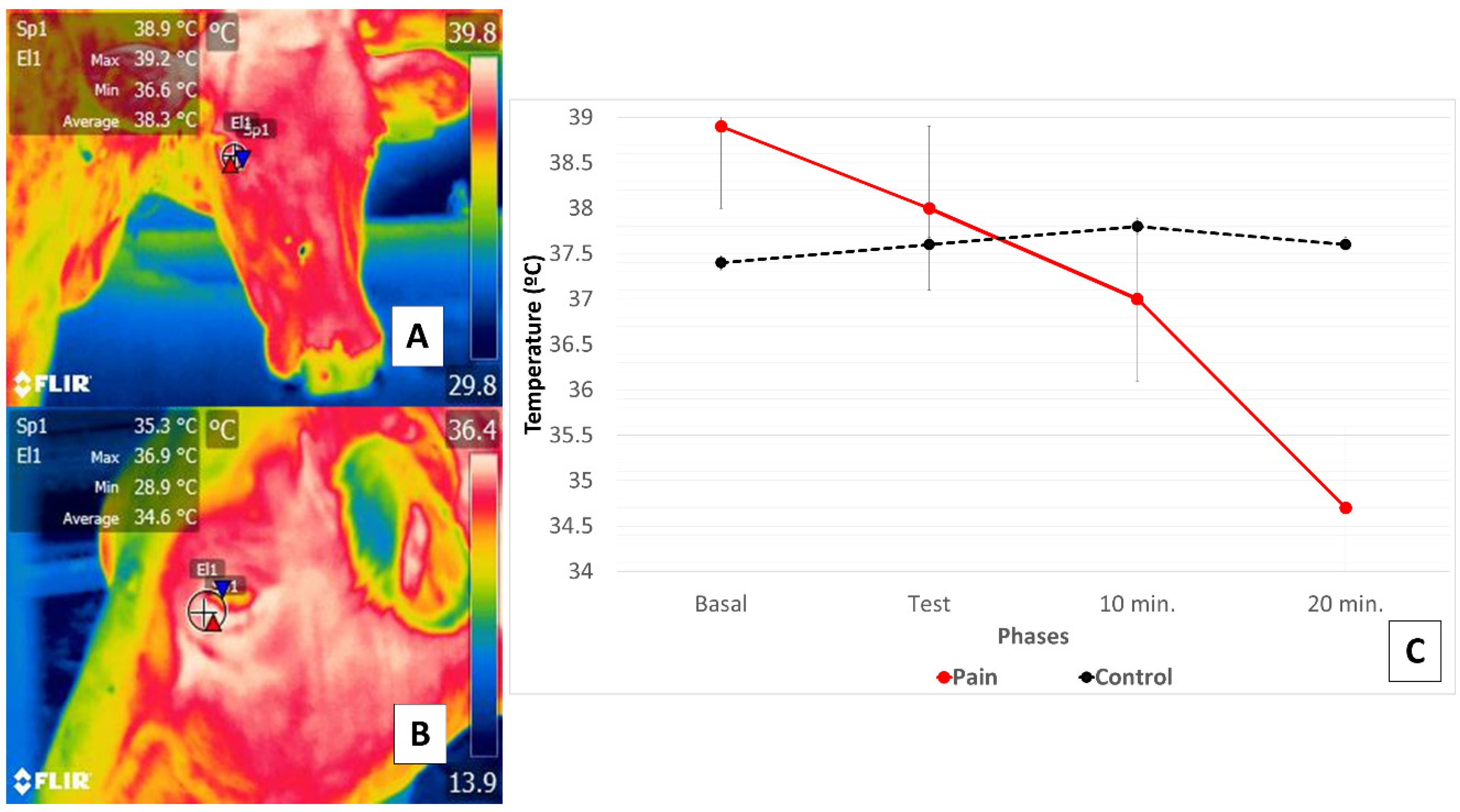 Animals 11 02247 g004