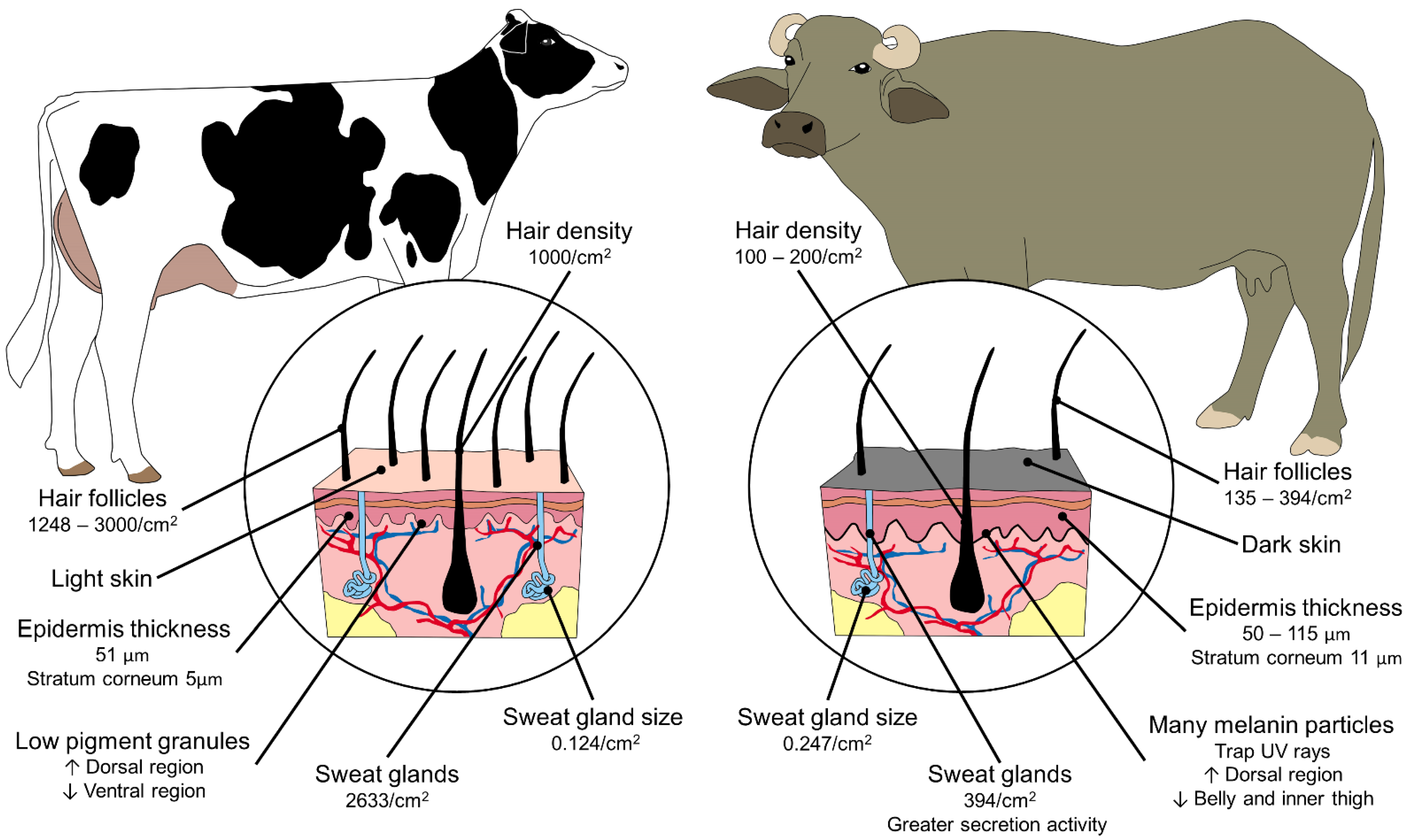 Animals 11 02247 g009