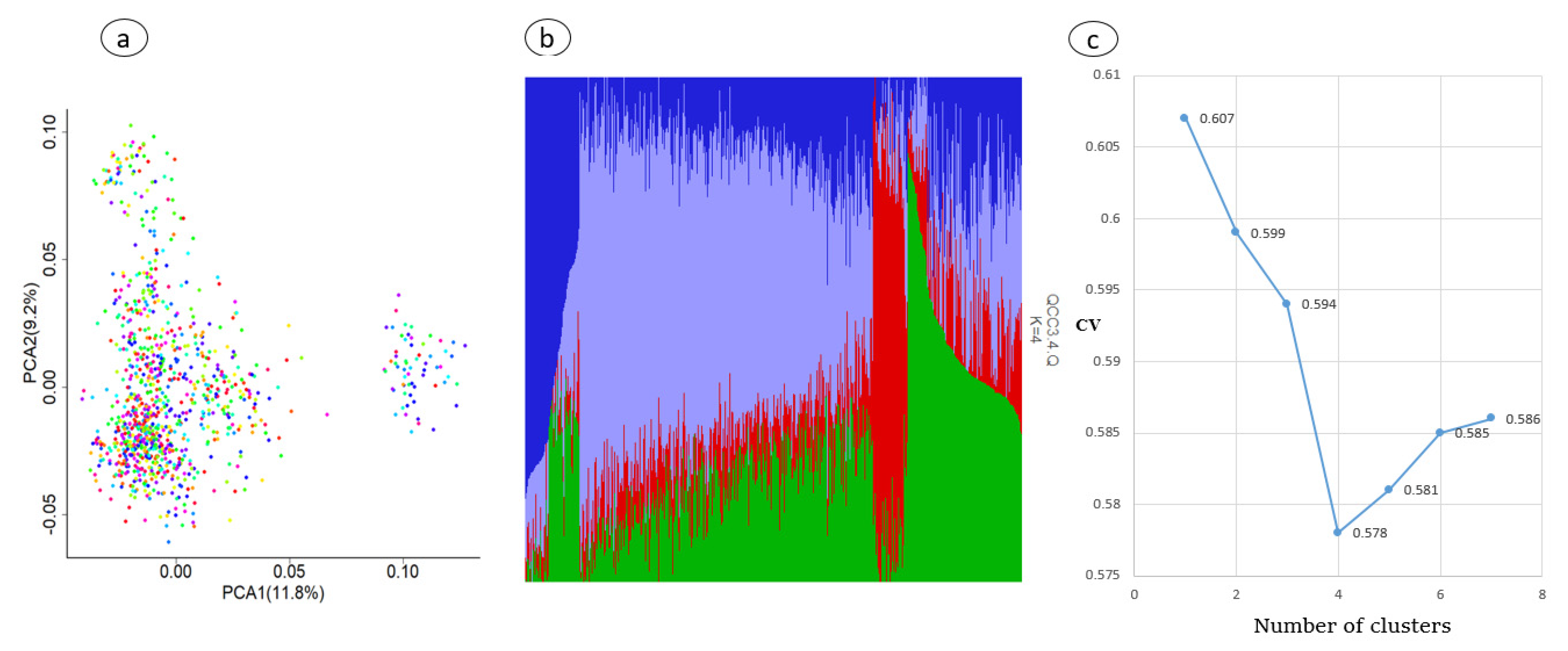Animals 11 02259 g002