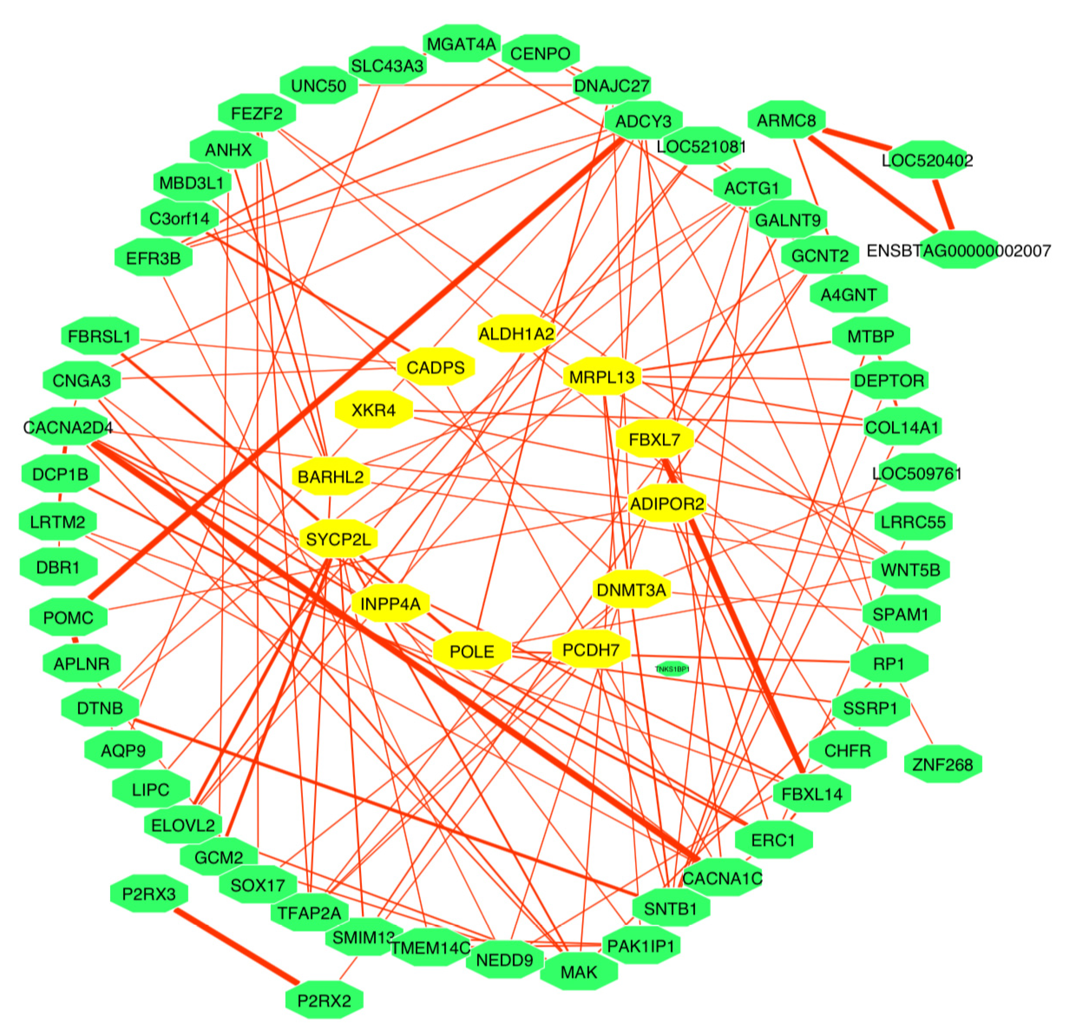 Animals 11 02259 g006