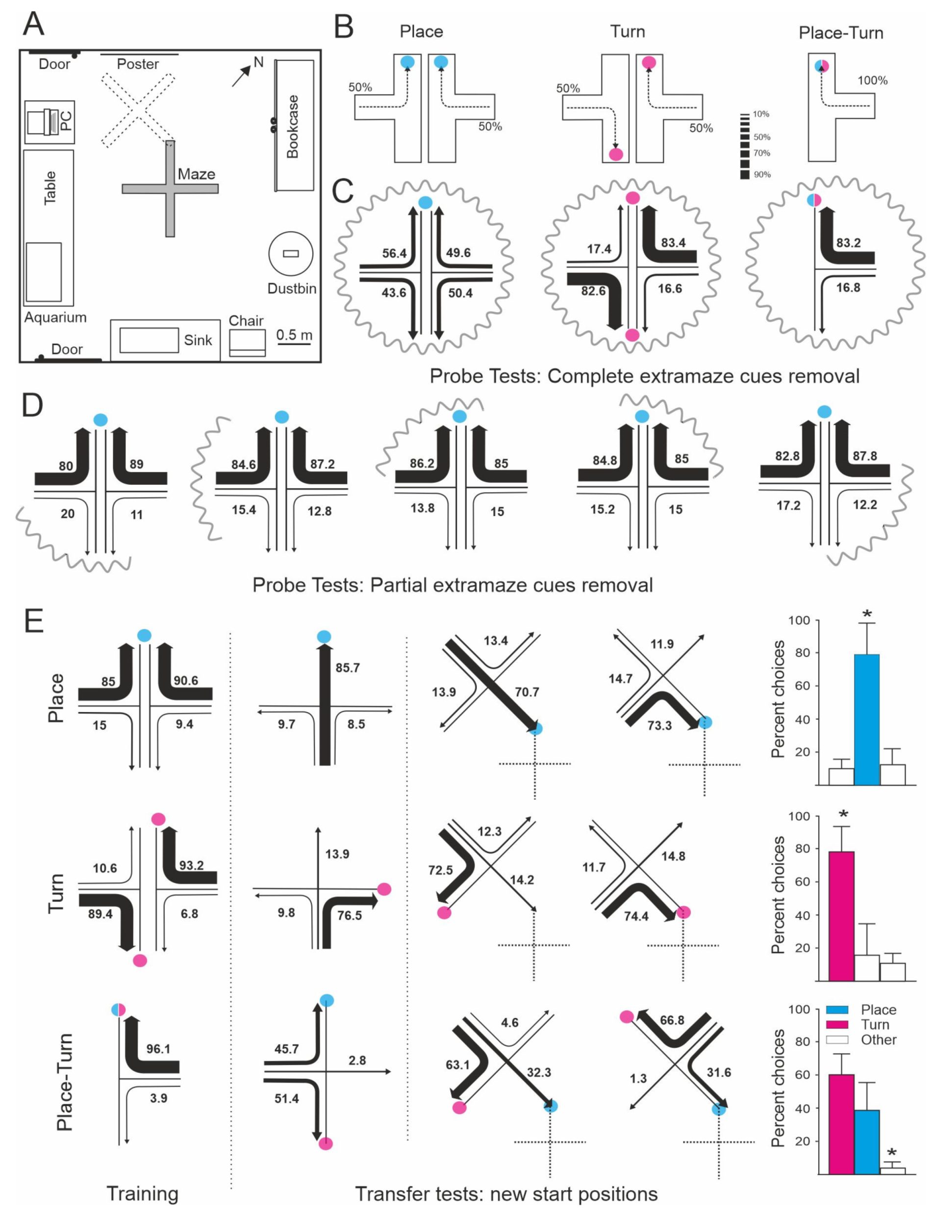 Animals 11 02271 g001