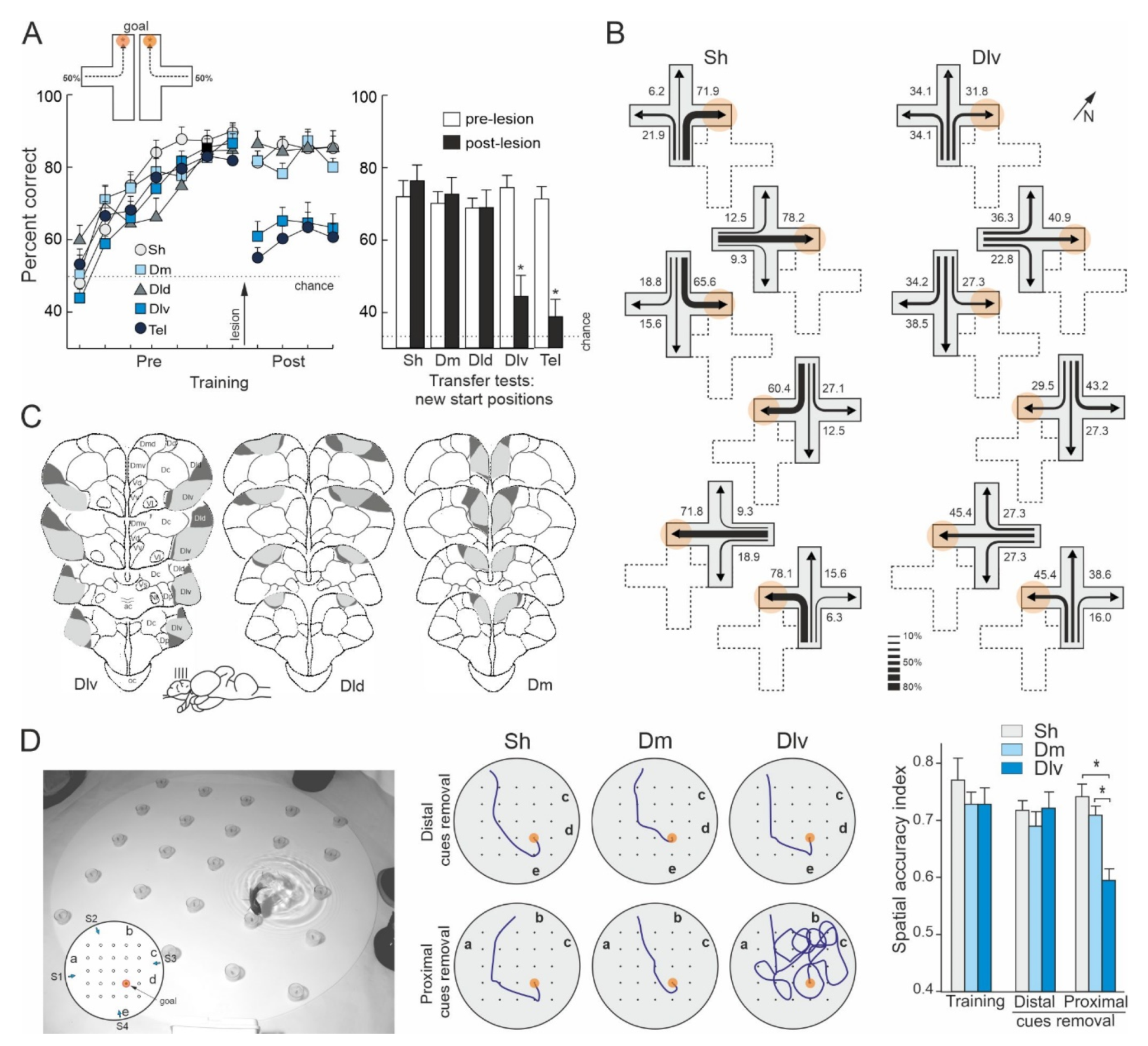 Animals 11 02271 g005