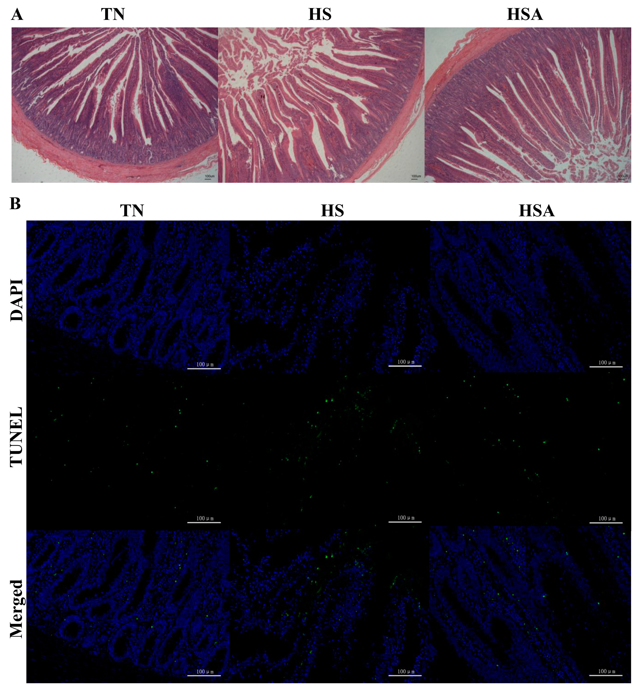 Animals 11 02279 g001