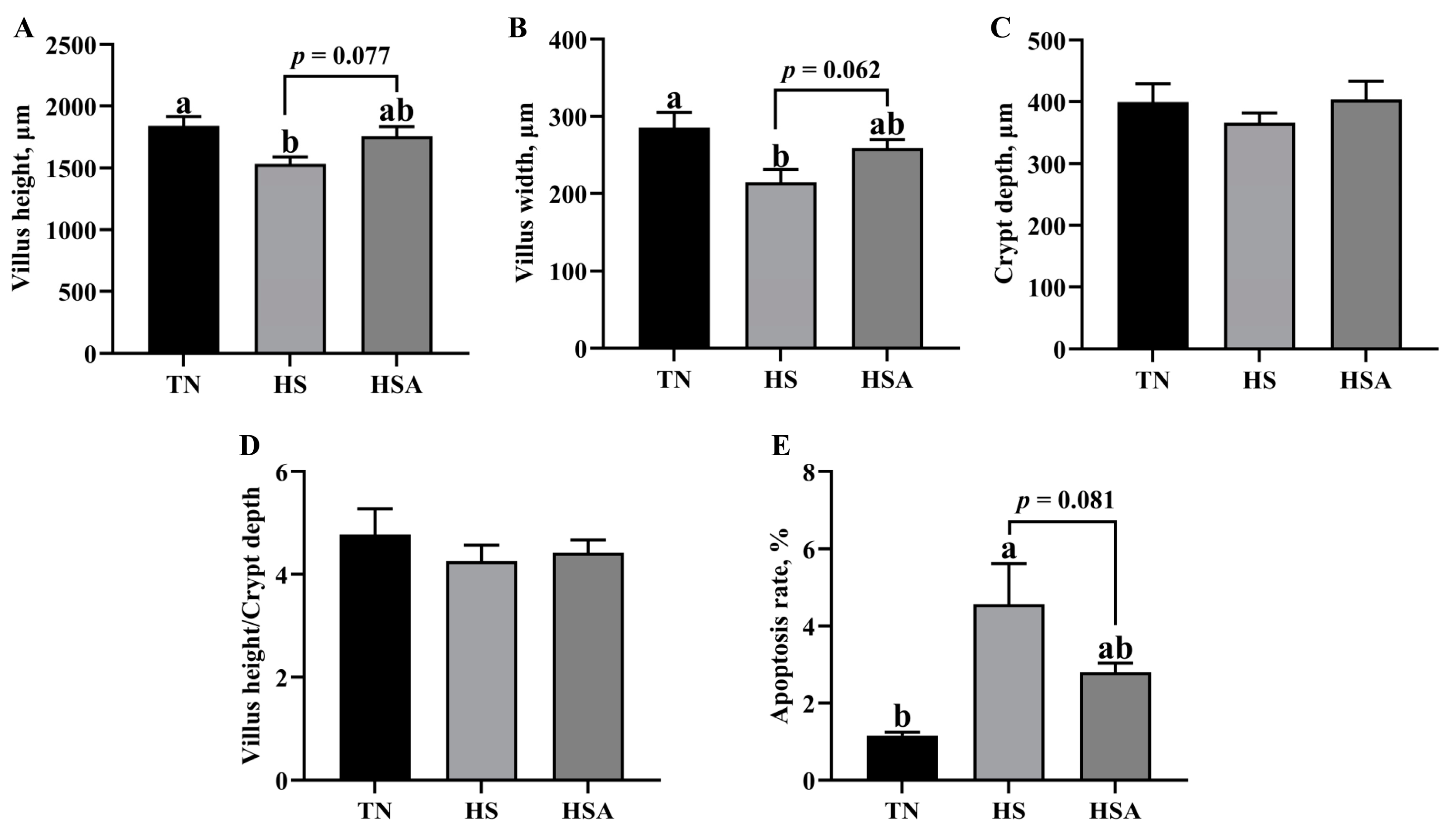 Animals 11 02279 g002