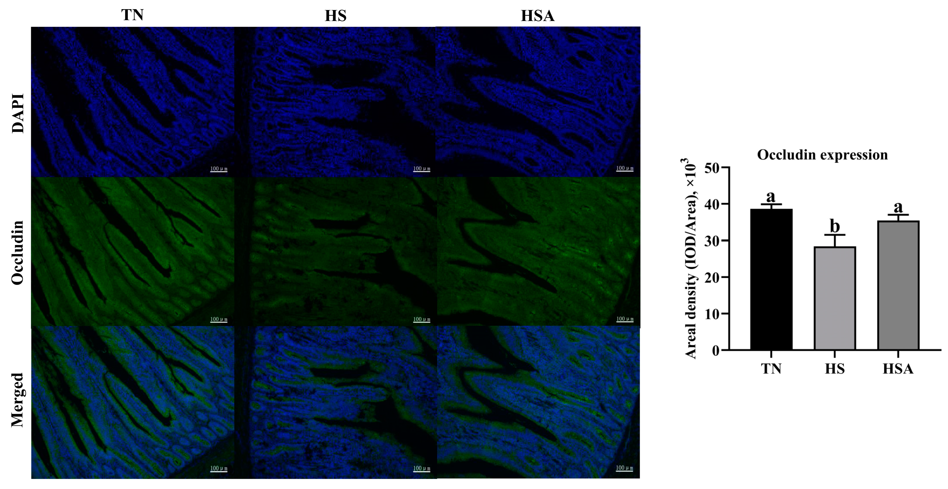 Animals 11 02279 g004