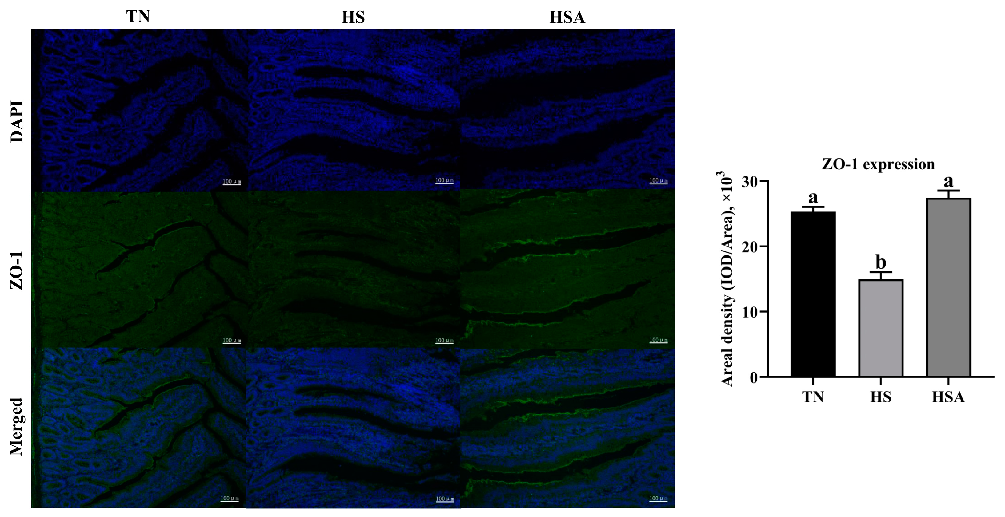 Animals 11 02279 g005