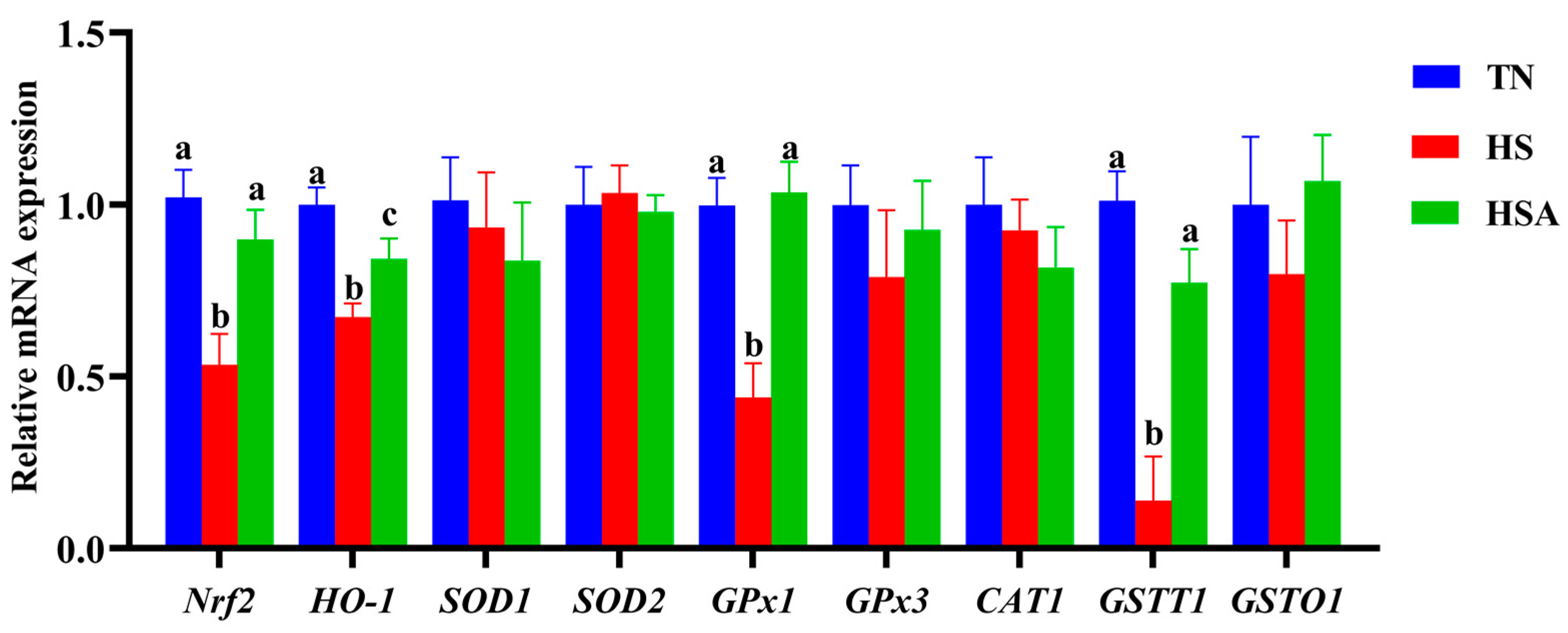 Animals 11 02279 g006