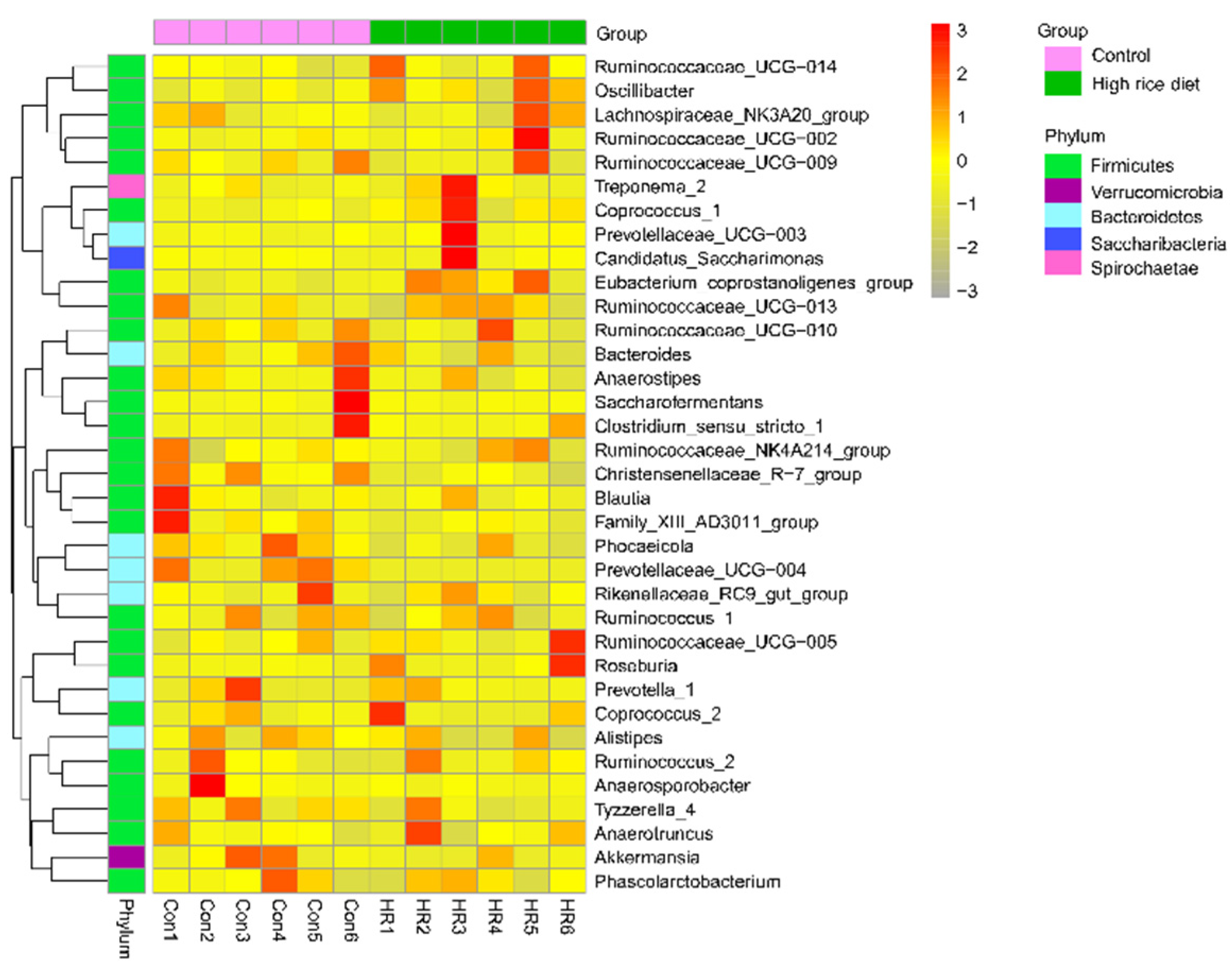 Animals 11 02306 g006