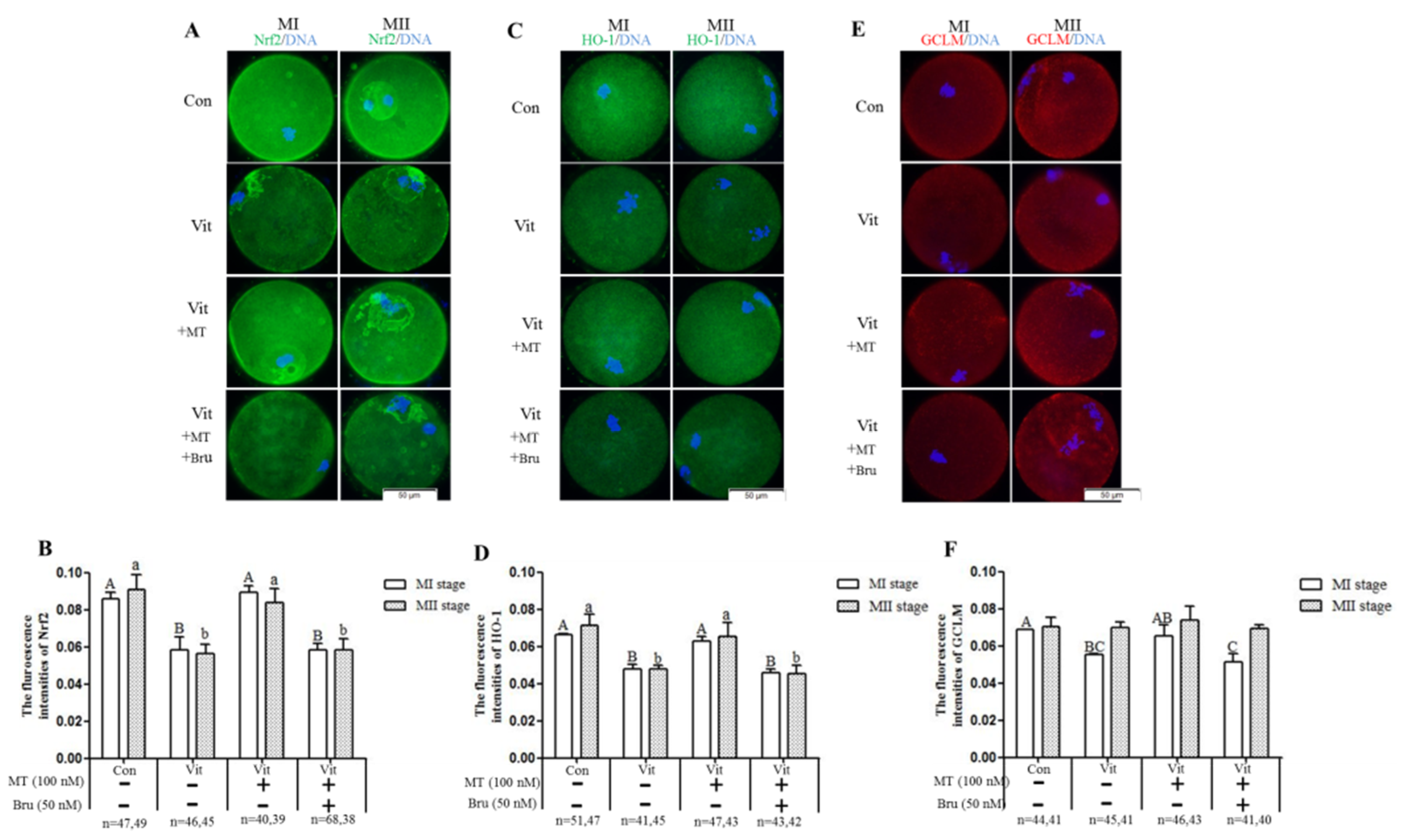 Animals 11 02324 g008