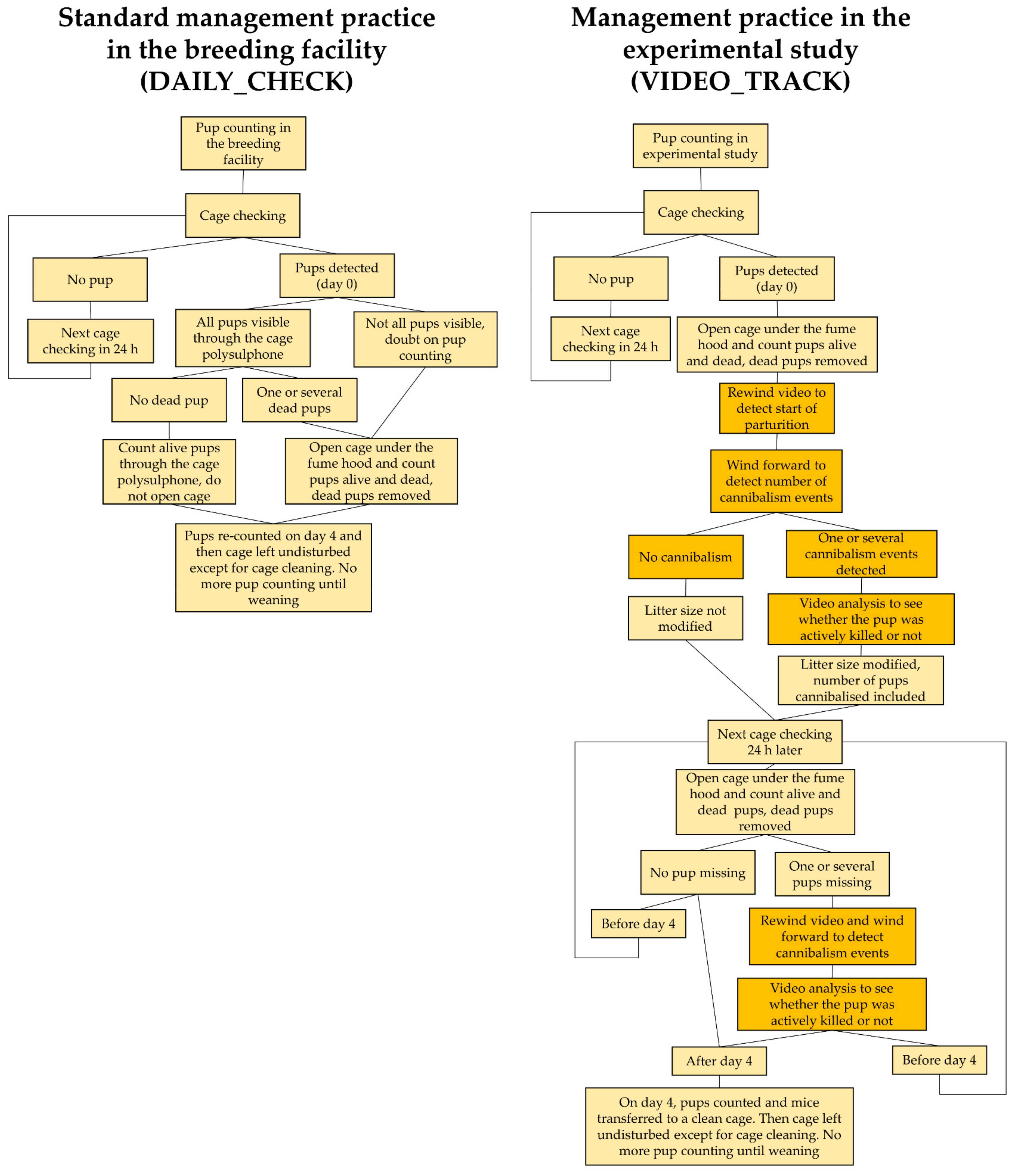 Animals 11 02327 g001