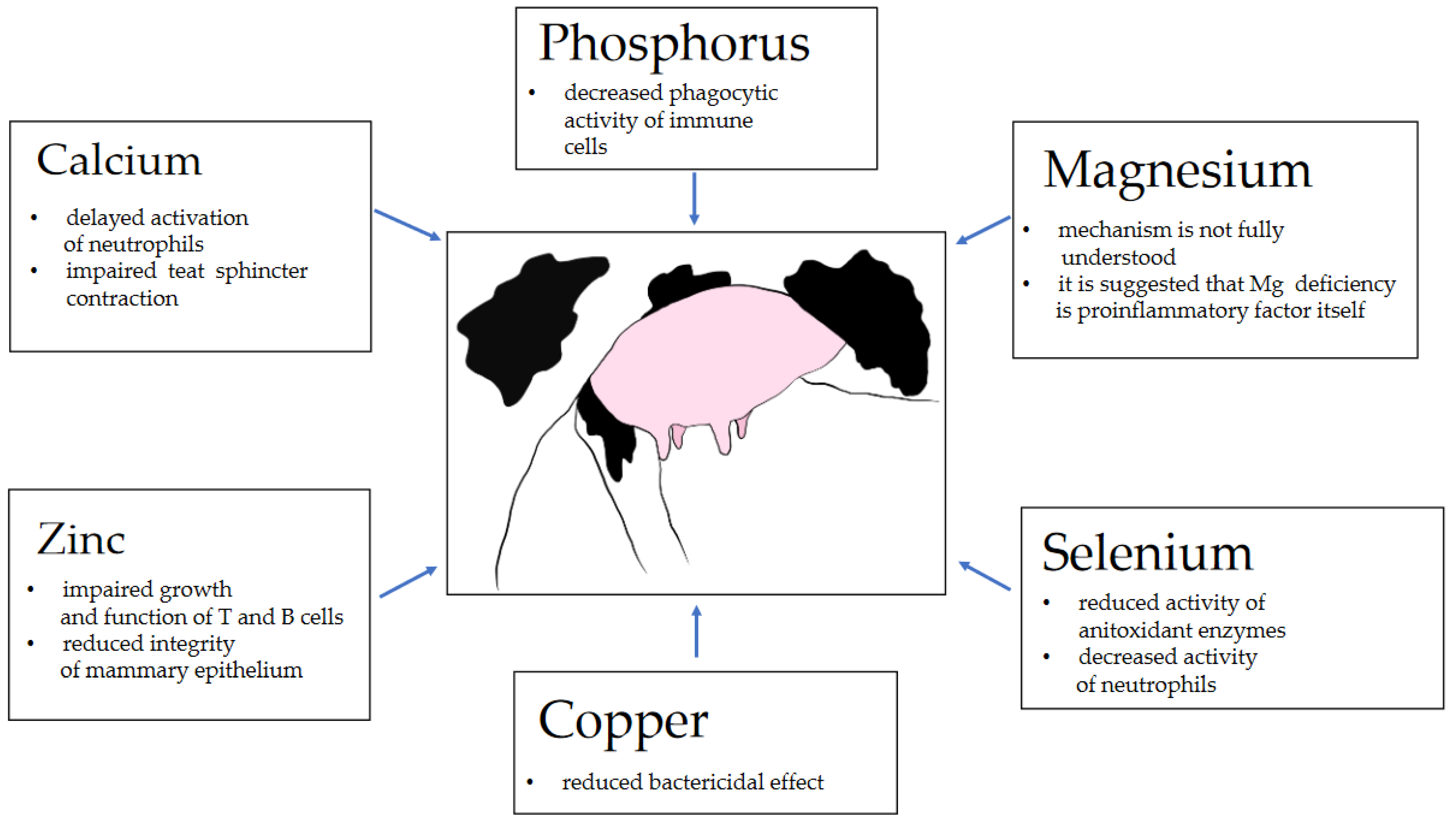 Animals 11 02330 g001