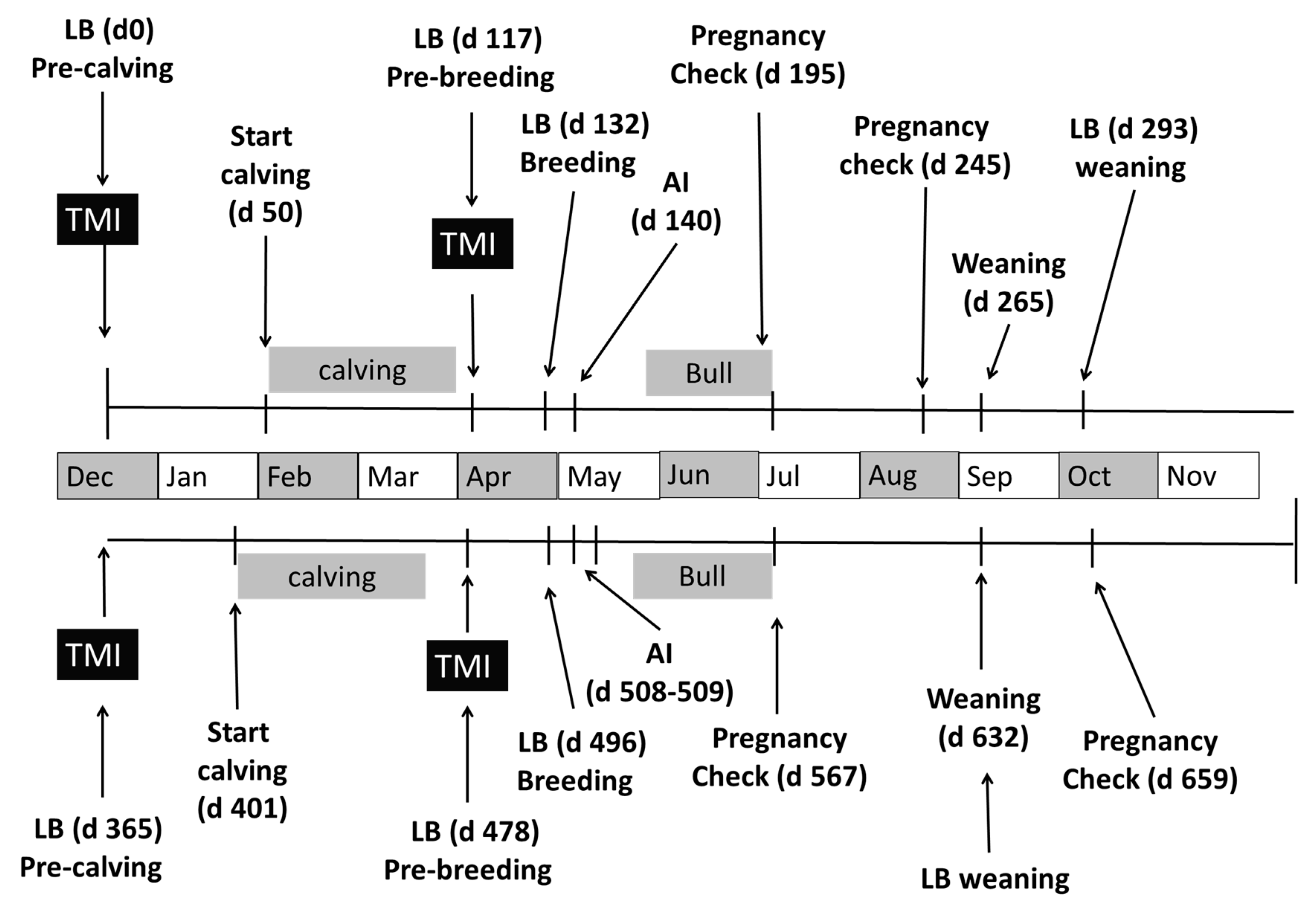 Animals 11 02331 g001