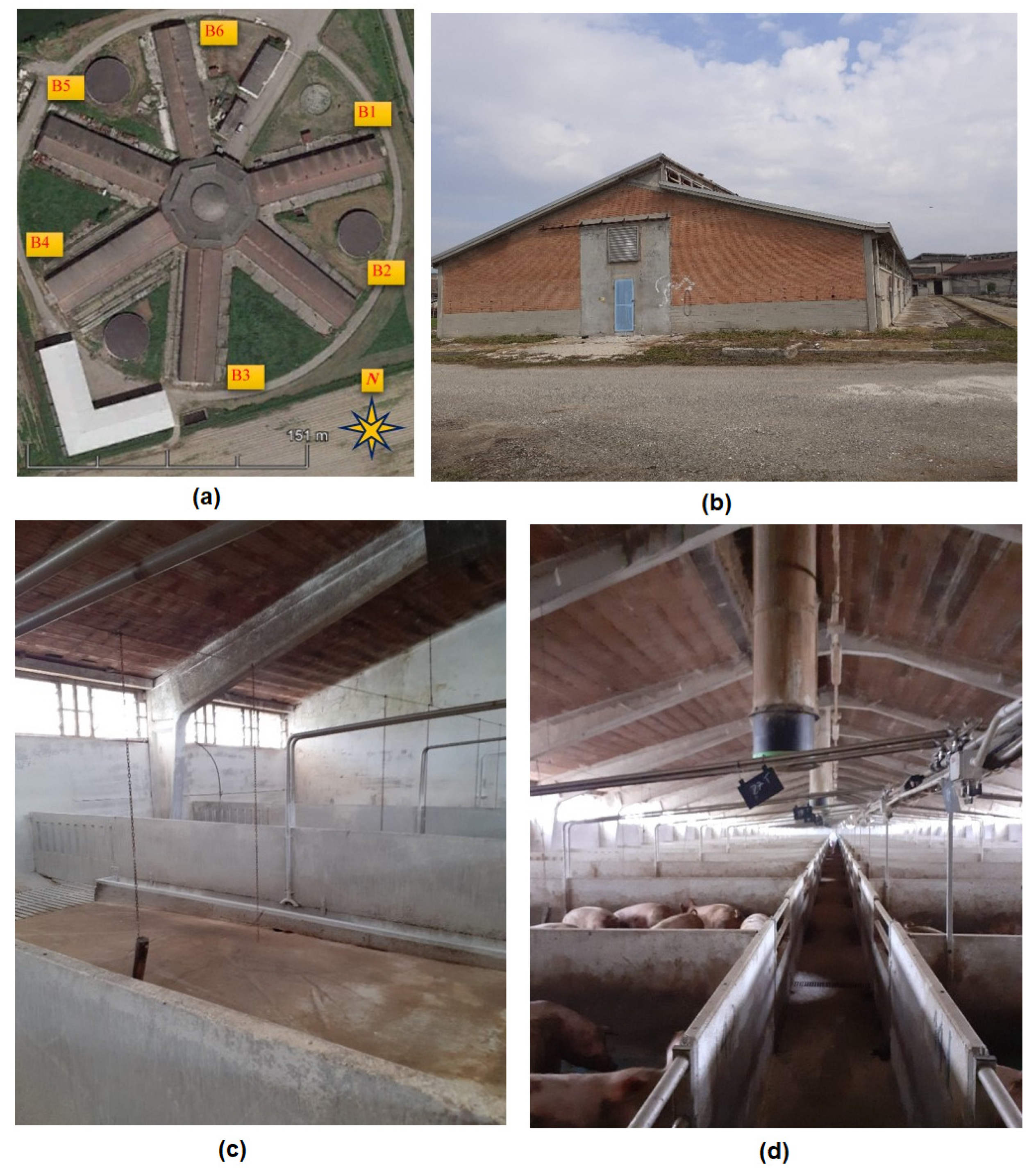 Animals 11 02338 g001