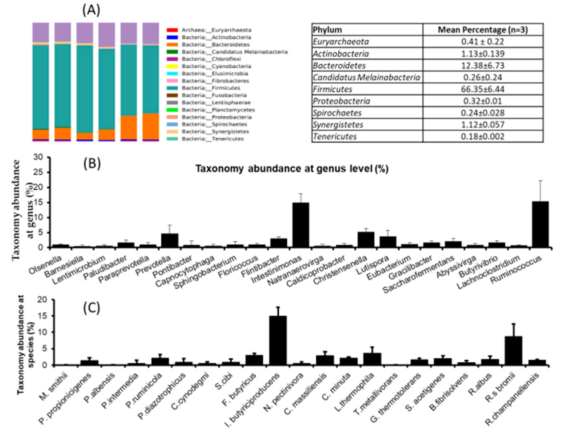 Animals 11 02350 g001