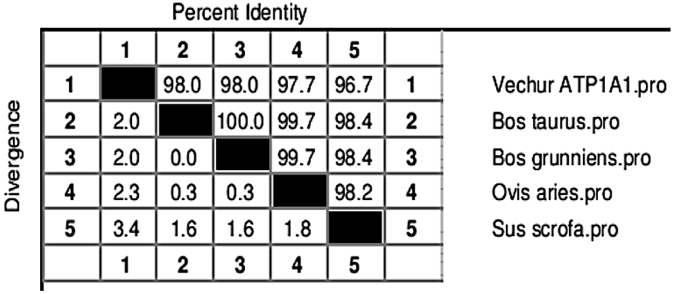 Animals 11 02368 g005